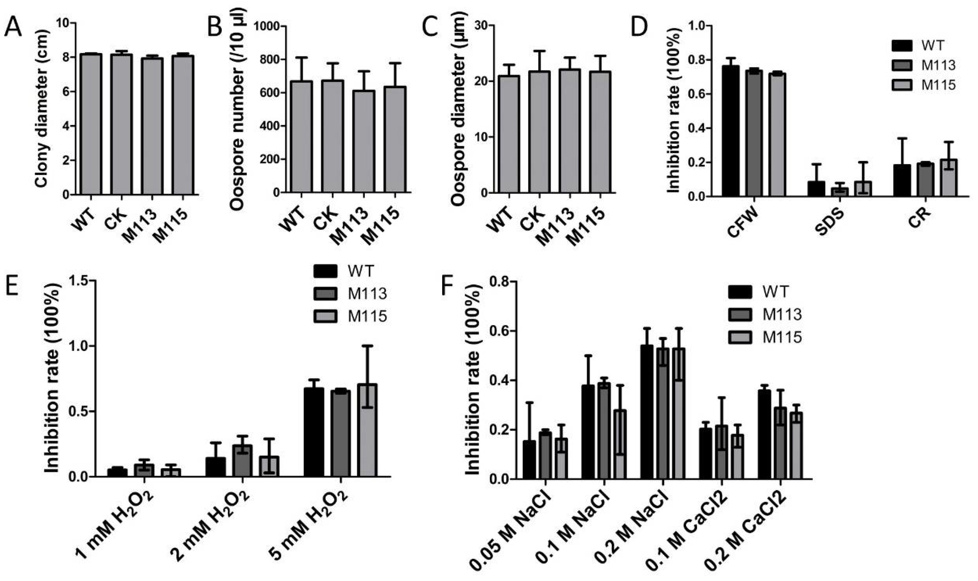Ijms 22 03524 g008 Ijms 22 03524 g008