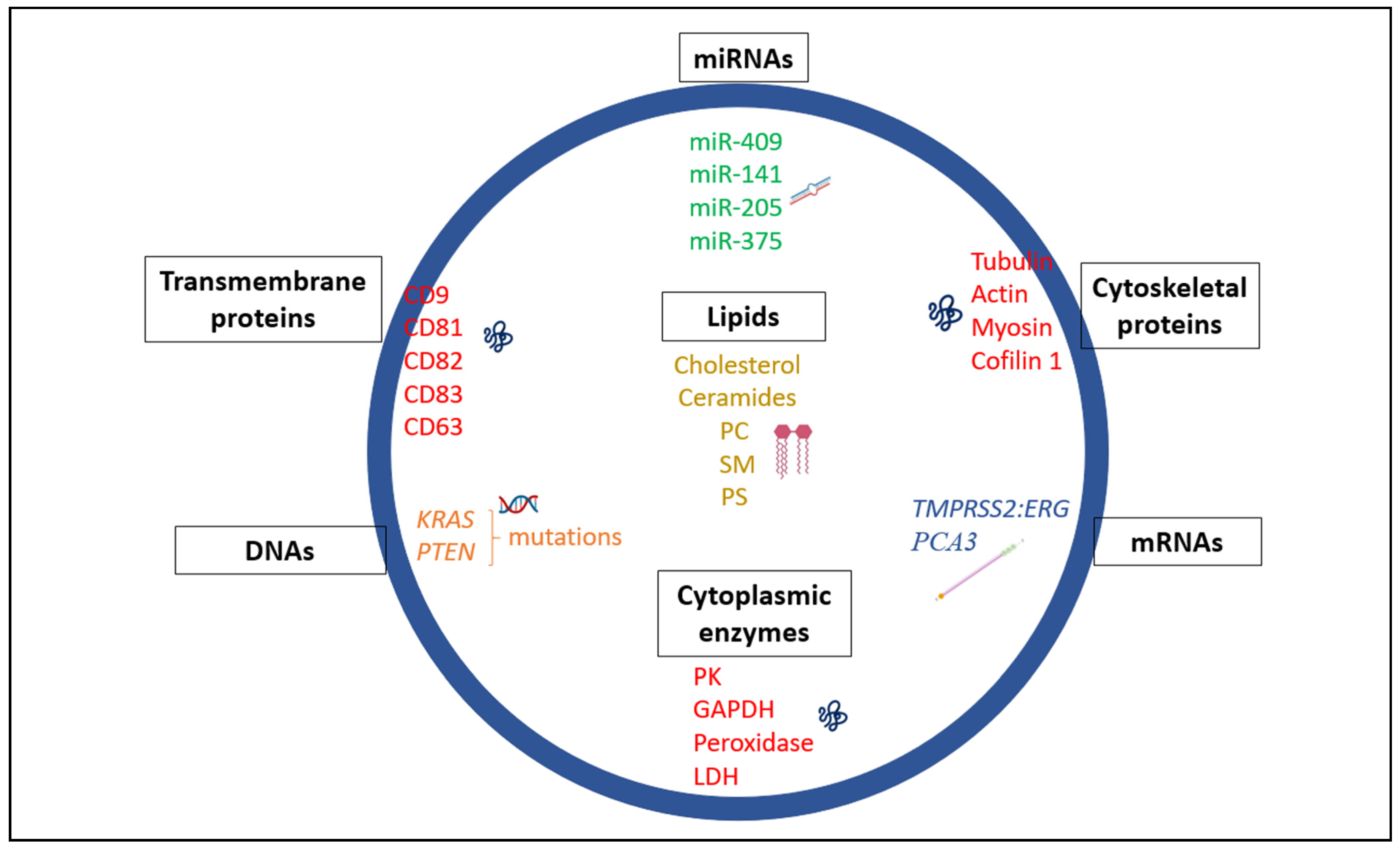Ijms 22 03528 g001 Ijms 22 03528 g001
