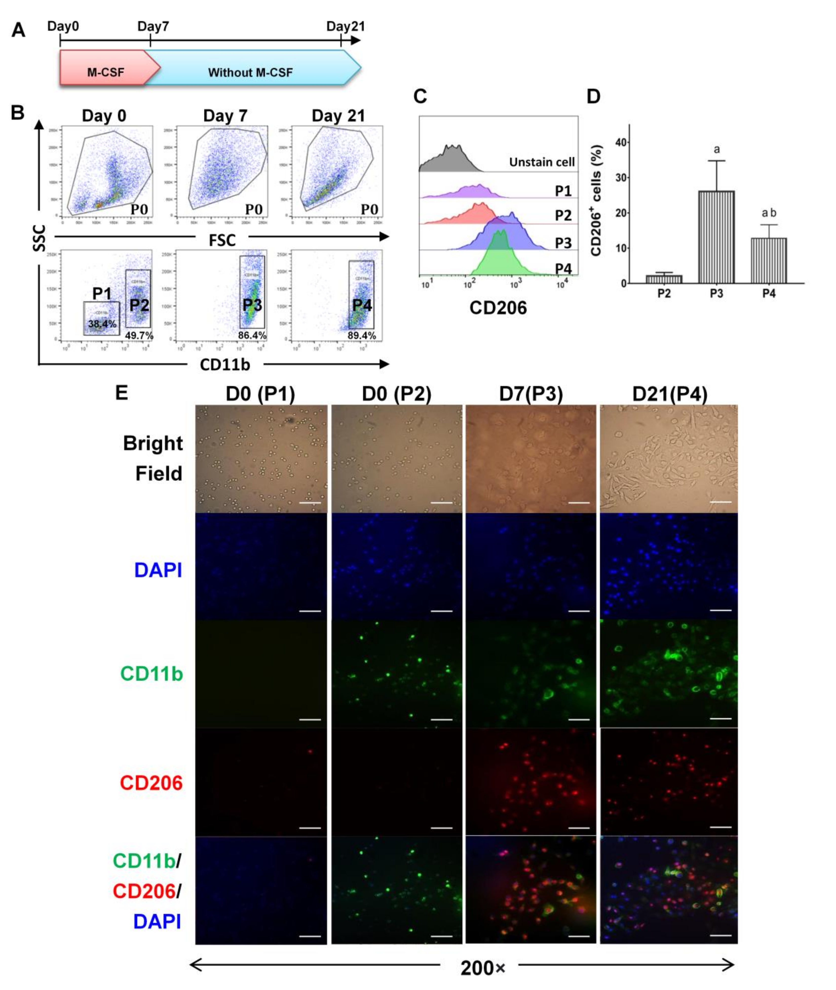 Ijms 22 03532 g001 Ijms 22 03532 g001