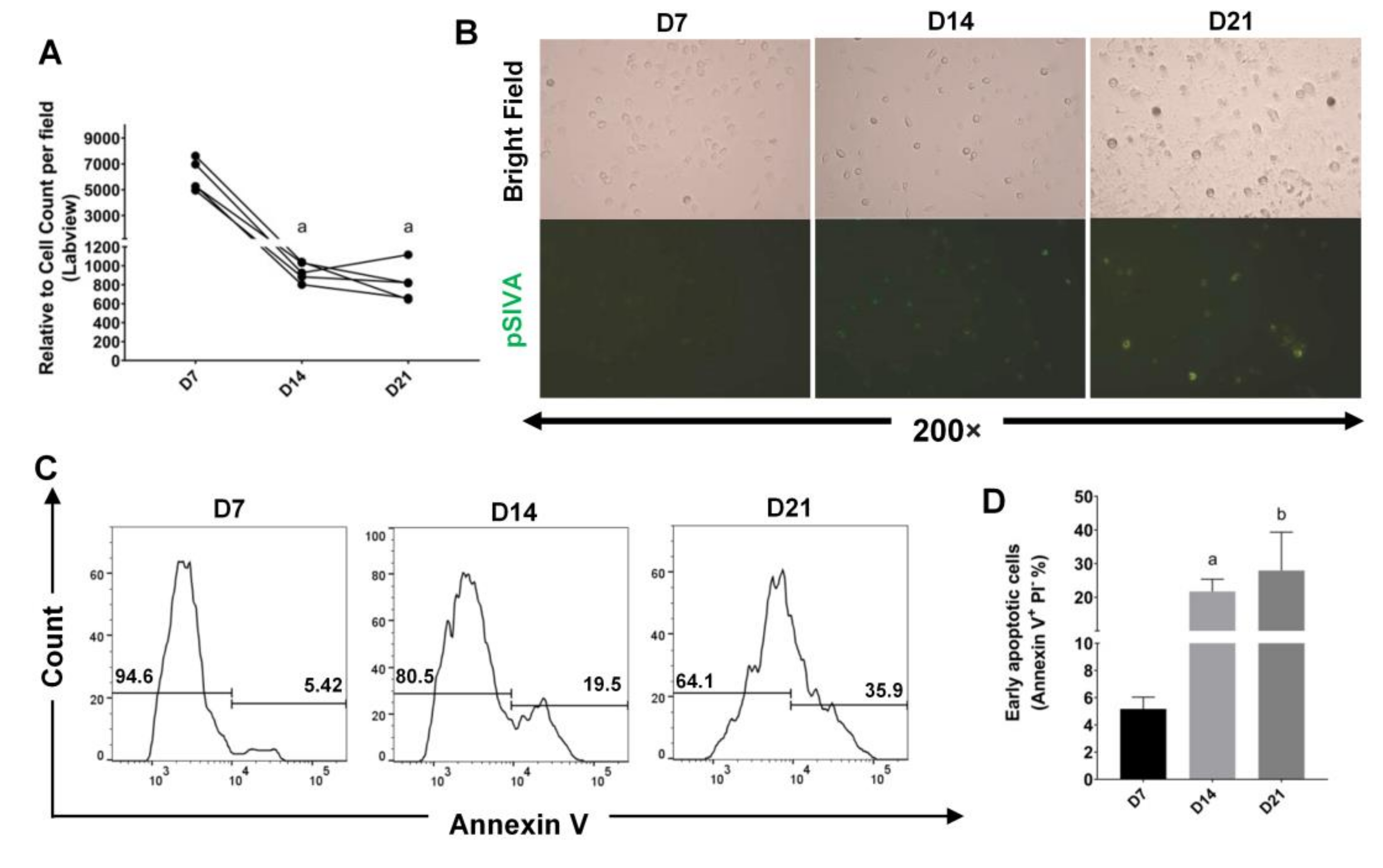 Ijms 22 03532 g003 Ijms 22 03532 g003
