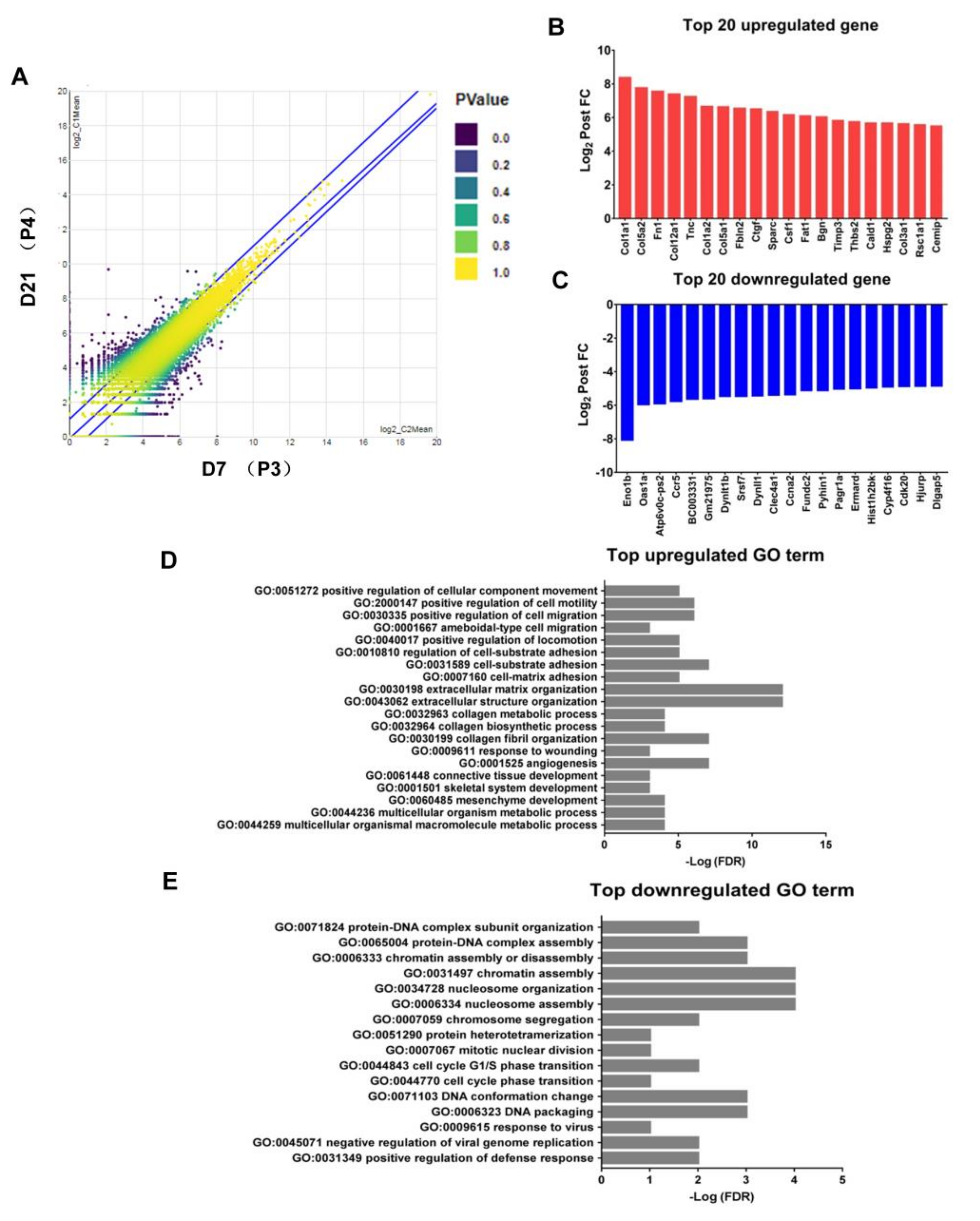 Ijms 22 03532 g005 Ijms 22 03532 g005