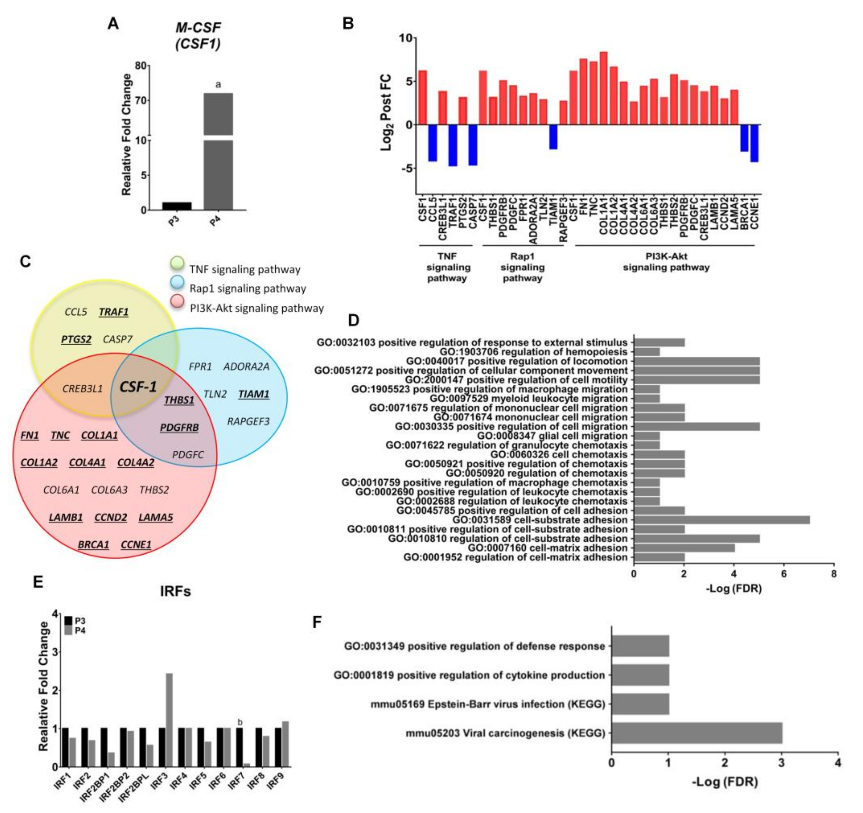 Ijms 22 03532 g006 Ijms 22 03532 g006