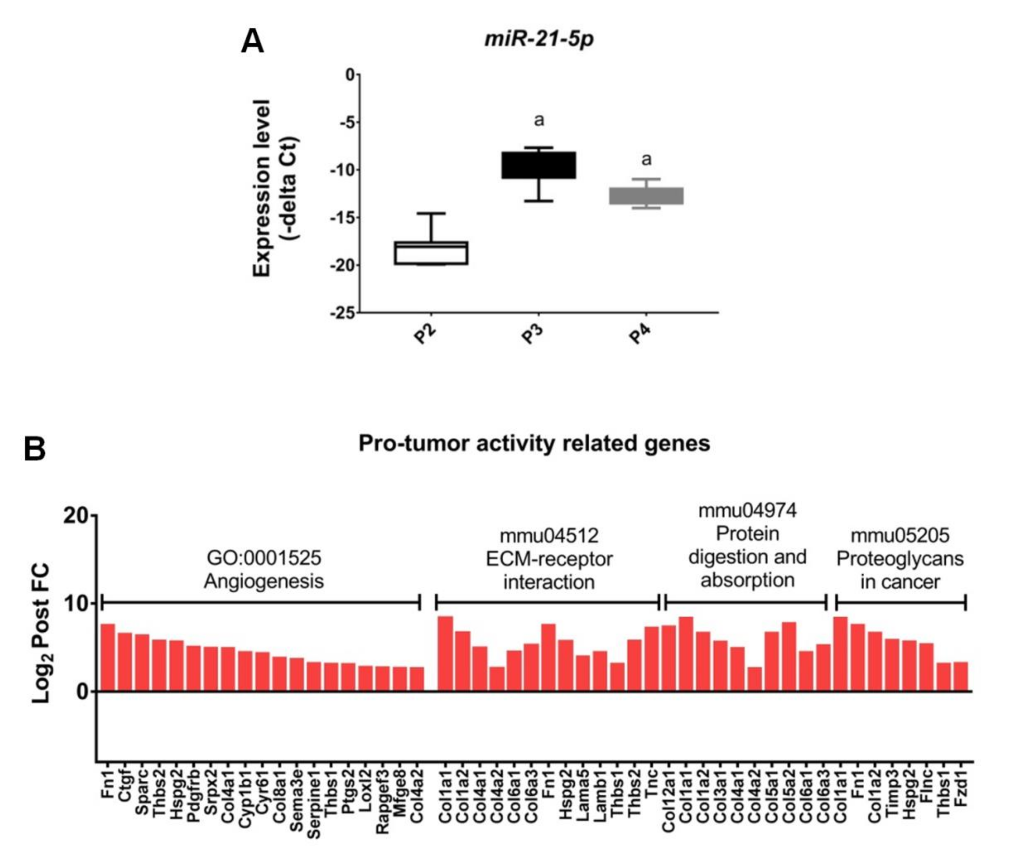 Ijms 22 03532 g007 Ijms 22 03532 g007