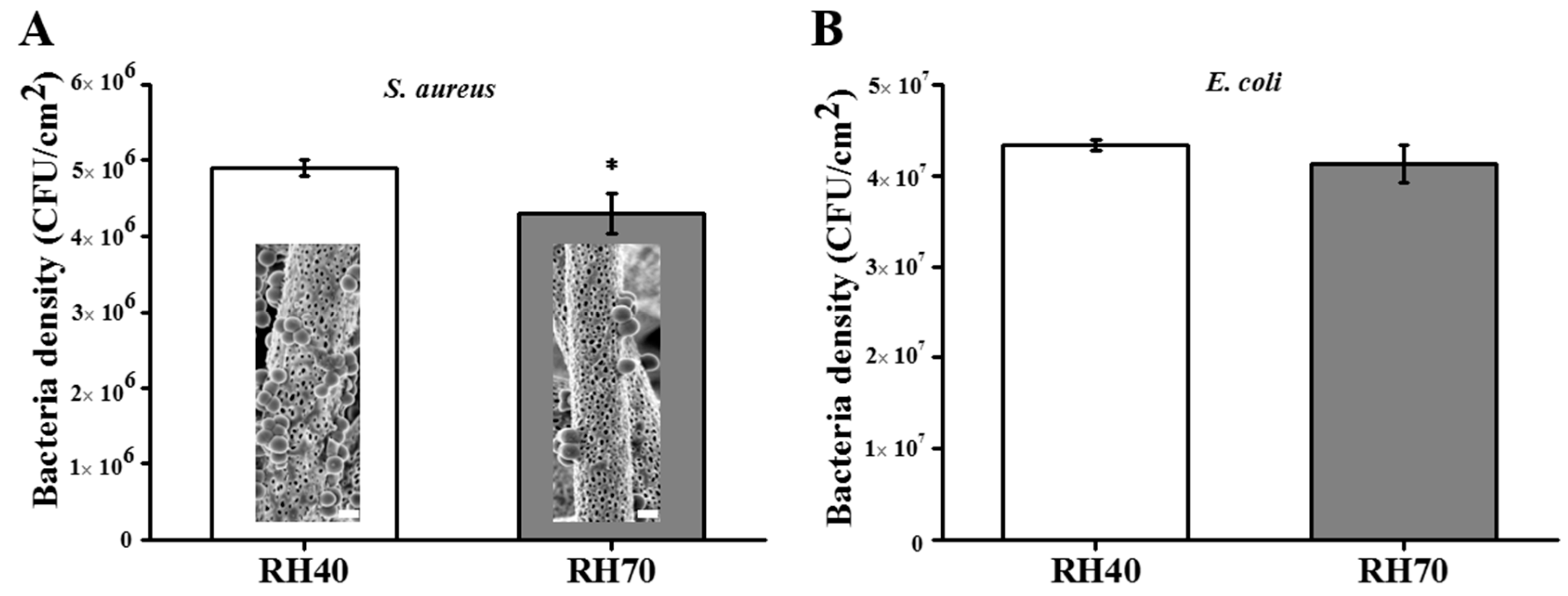 Ijms 22 03536 g005 Ijms 22 03536 g005