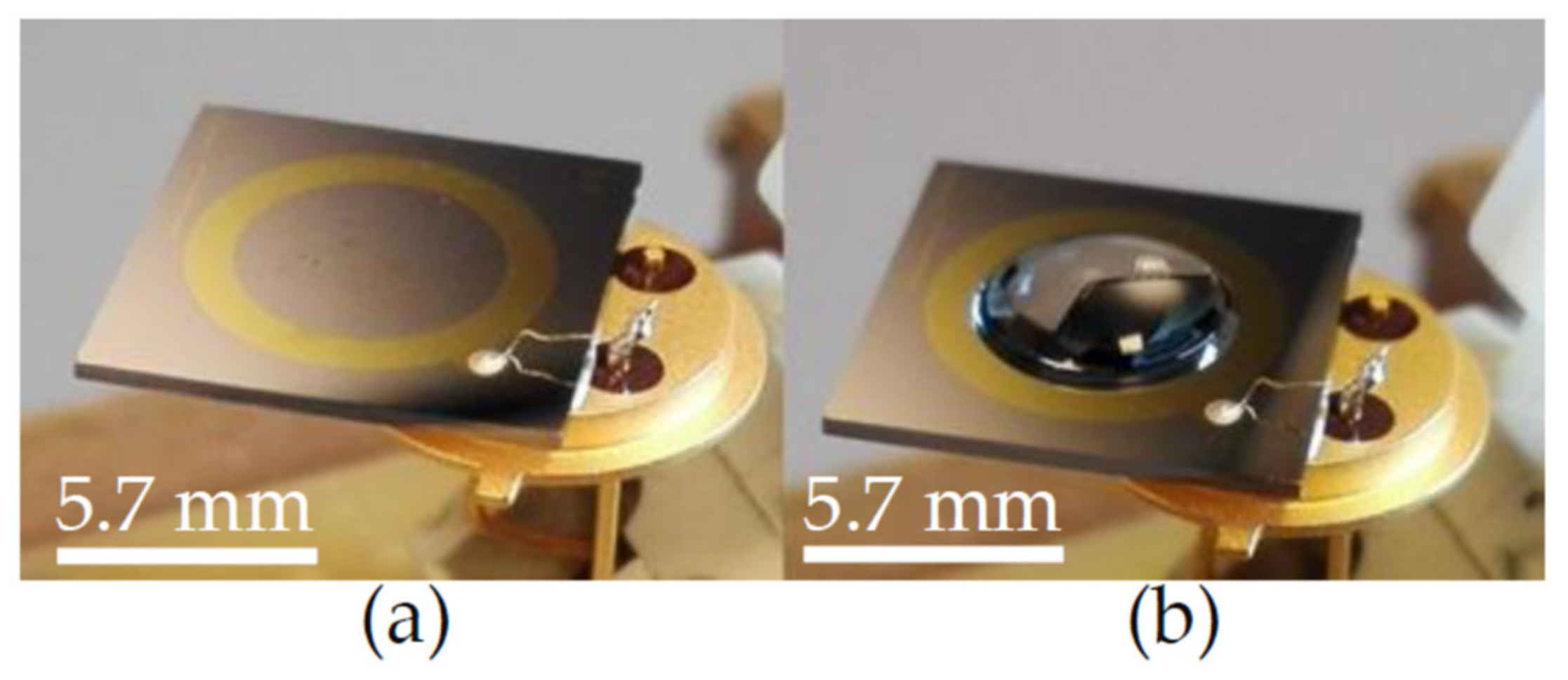 Ijms 22 03541 g003 Ijms 22 03541 g003