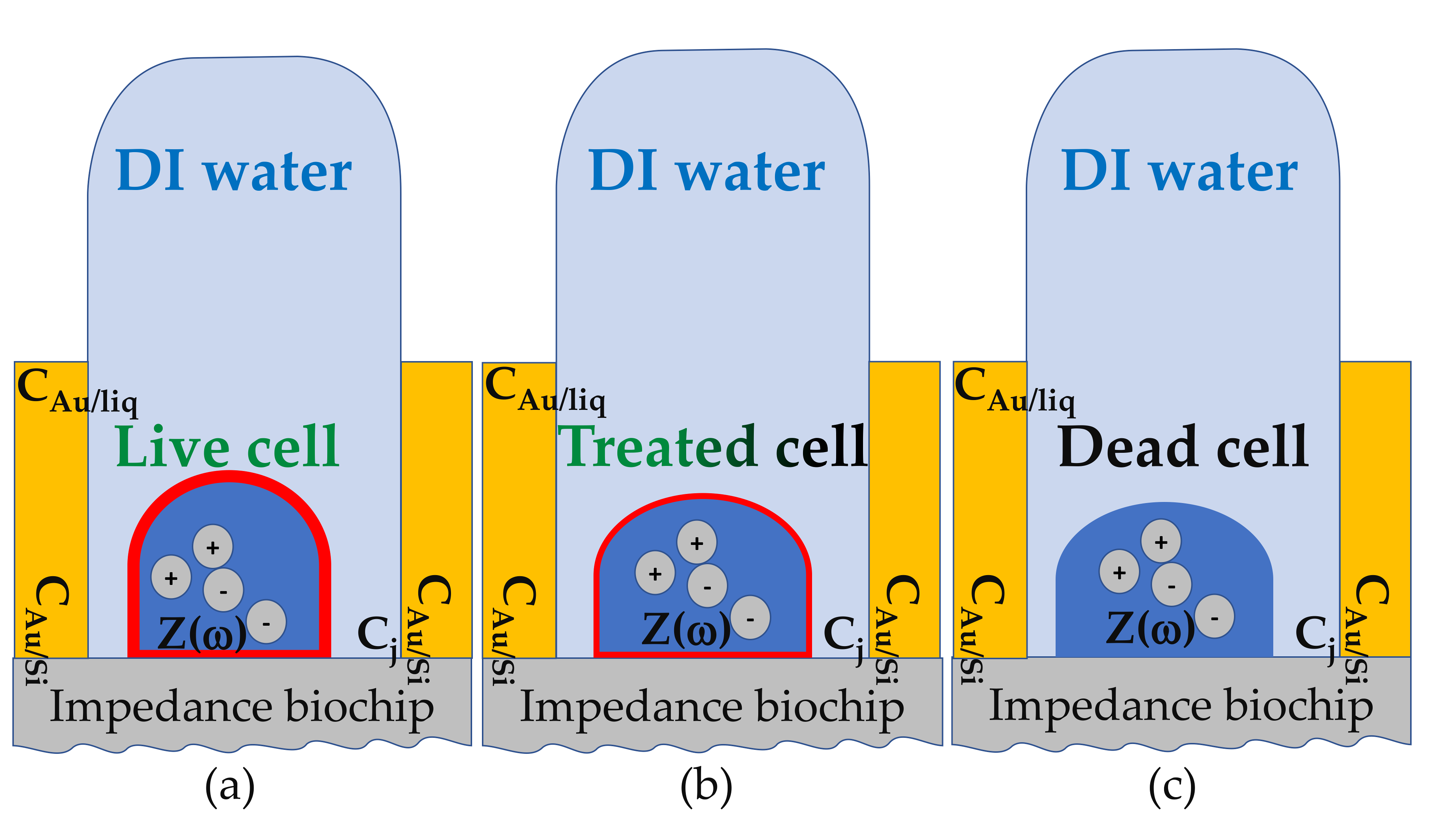 Ijms 22 03541 g010 Ijms 22 03541 g010