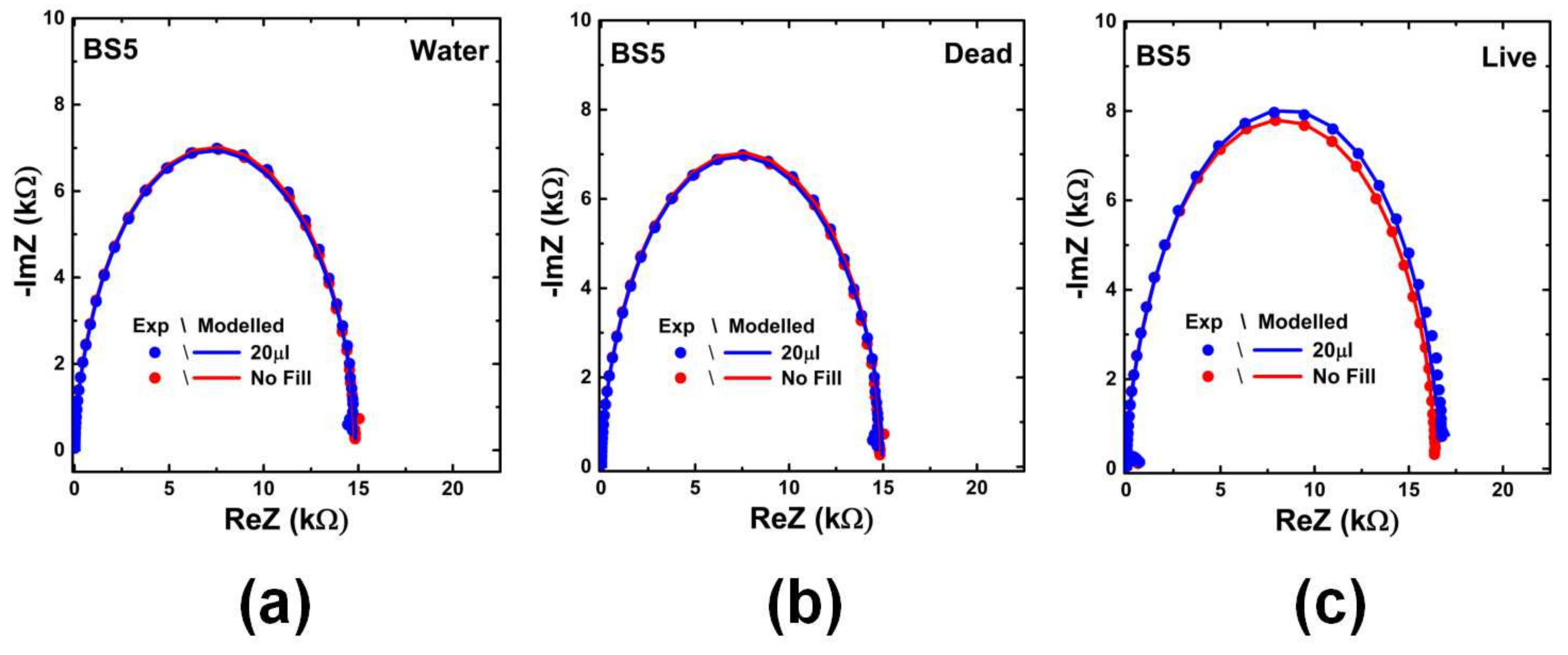 Ijms 22 03541 g0a2 Ijms 22 03541 g0a2