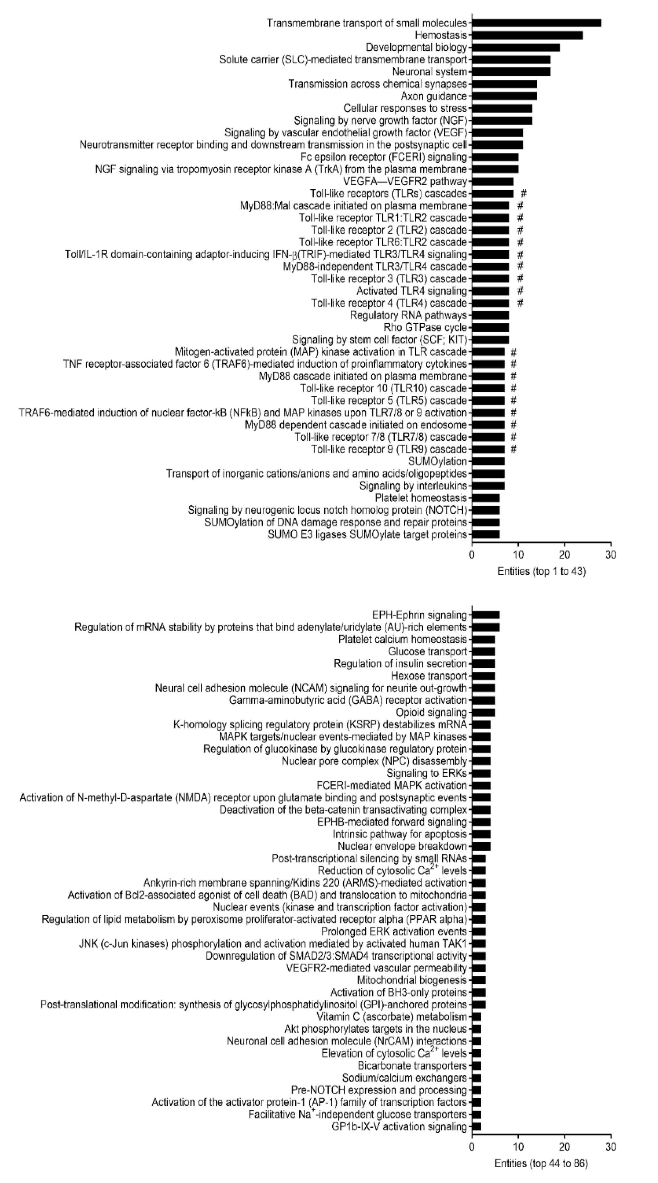 Ijms 22 03544 g004 Ijms 22 03544 g004