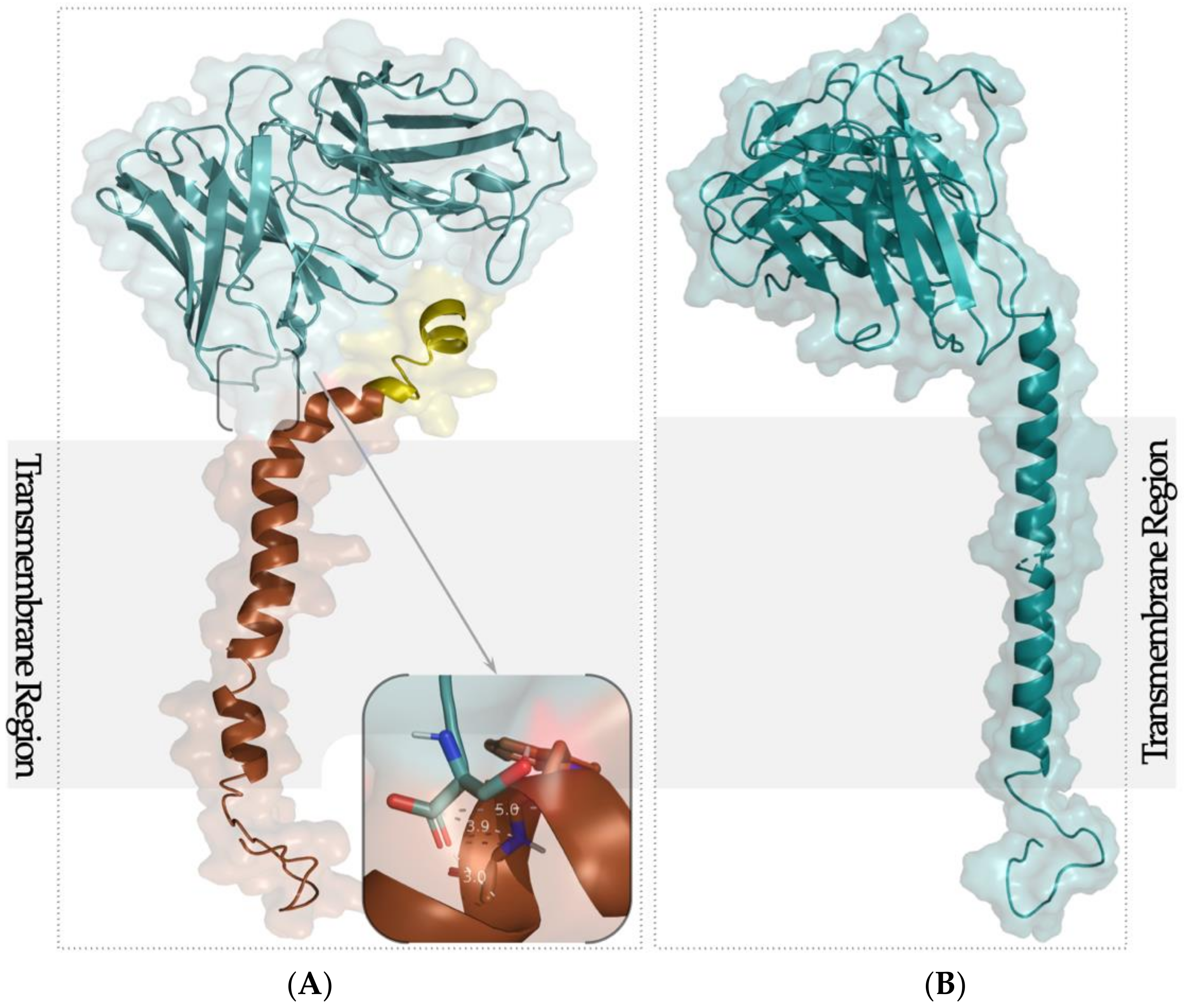 Ijms 22 03547 g001 Ijms 22 03547 g001