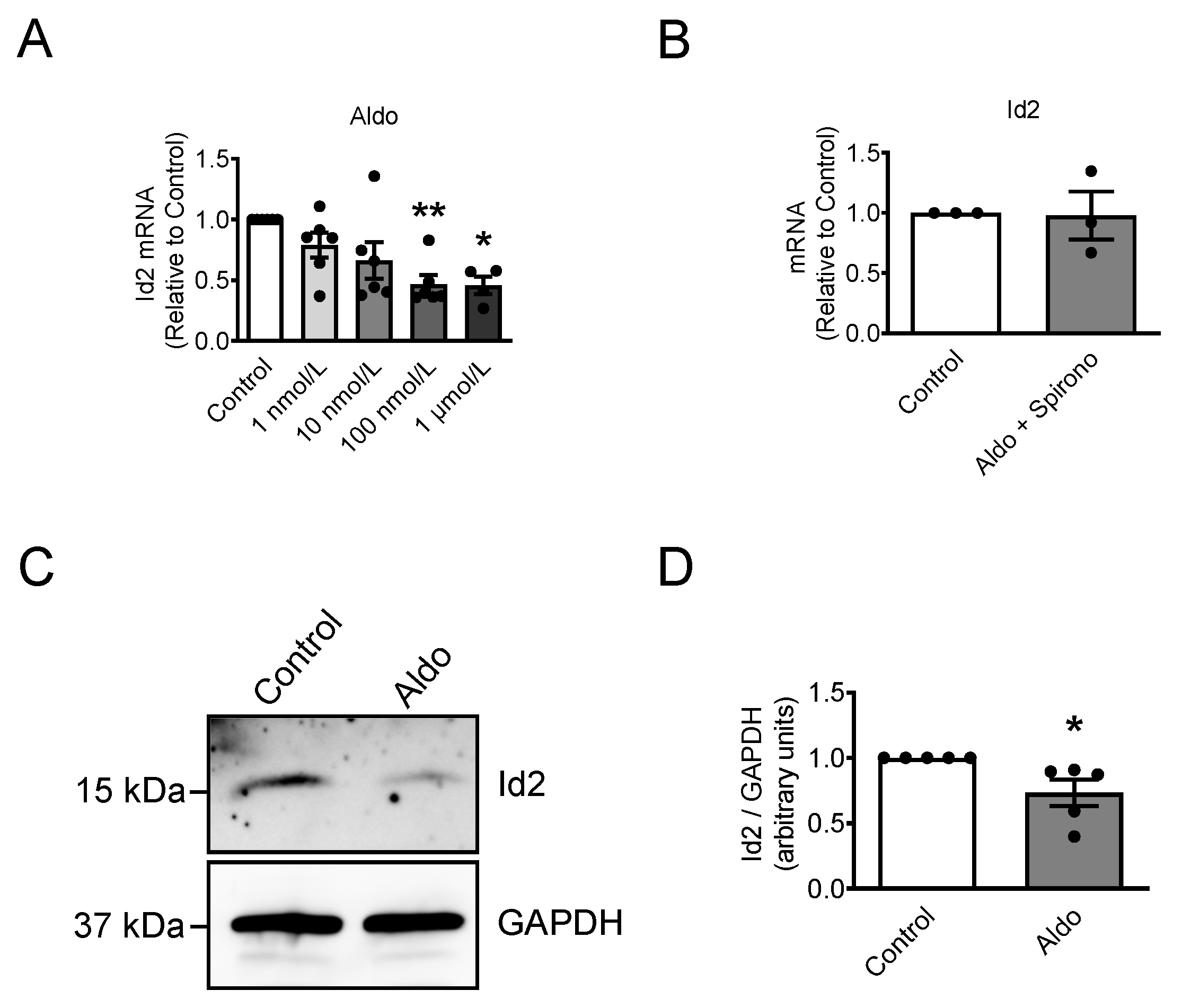 Ijms 22 03561 g001 Ijms 22 03561 g001