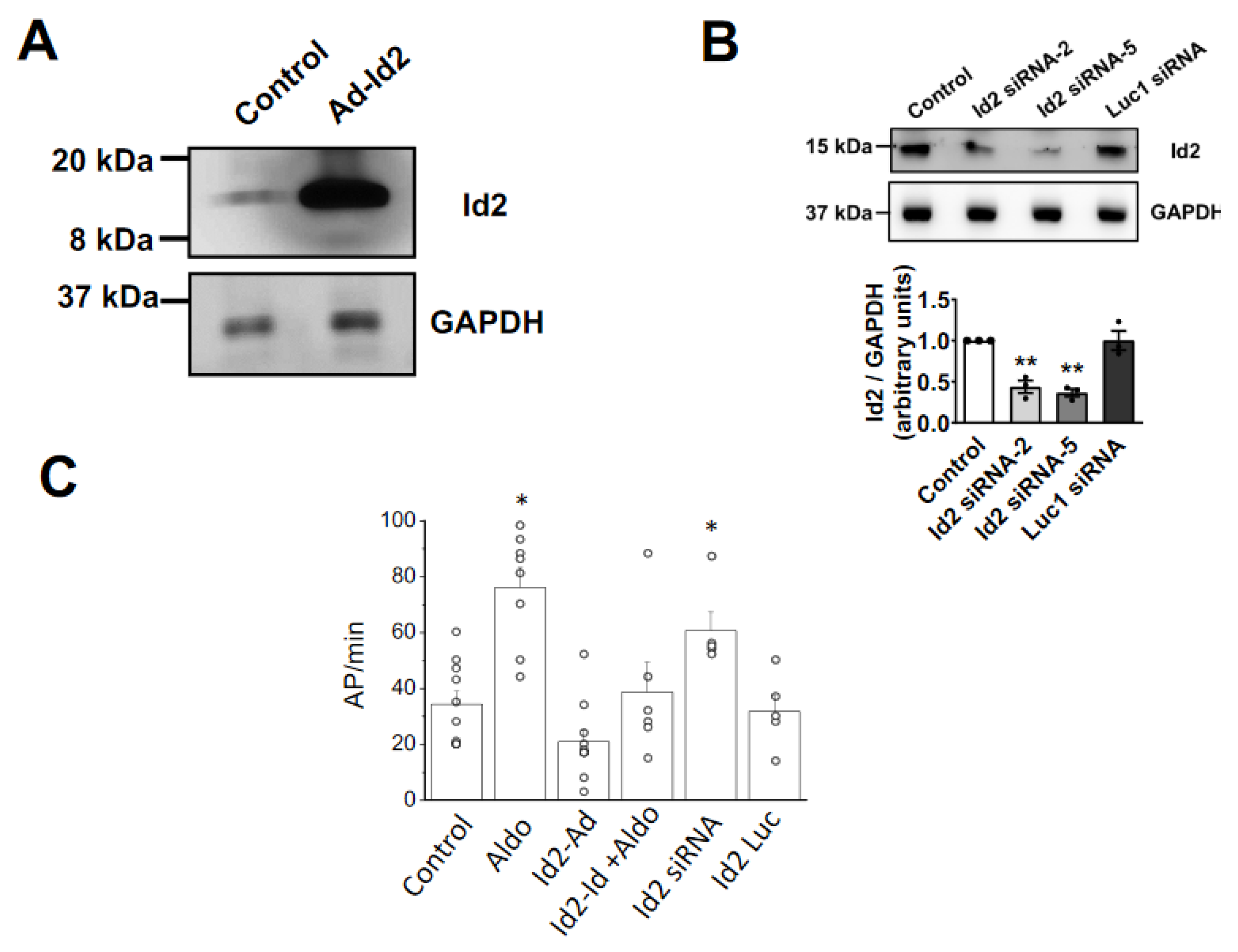Ijms 22 03561 g002 Ijms 22 03561 g002