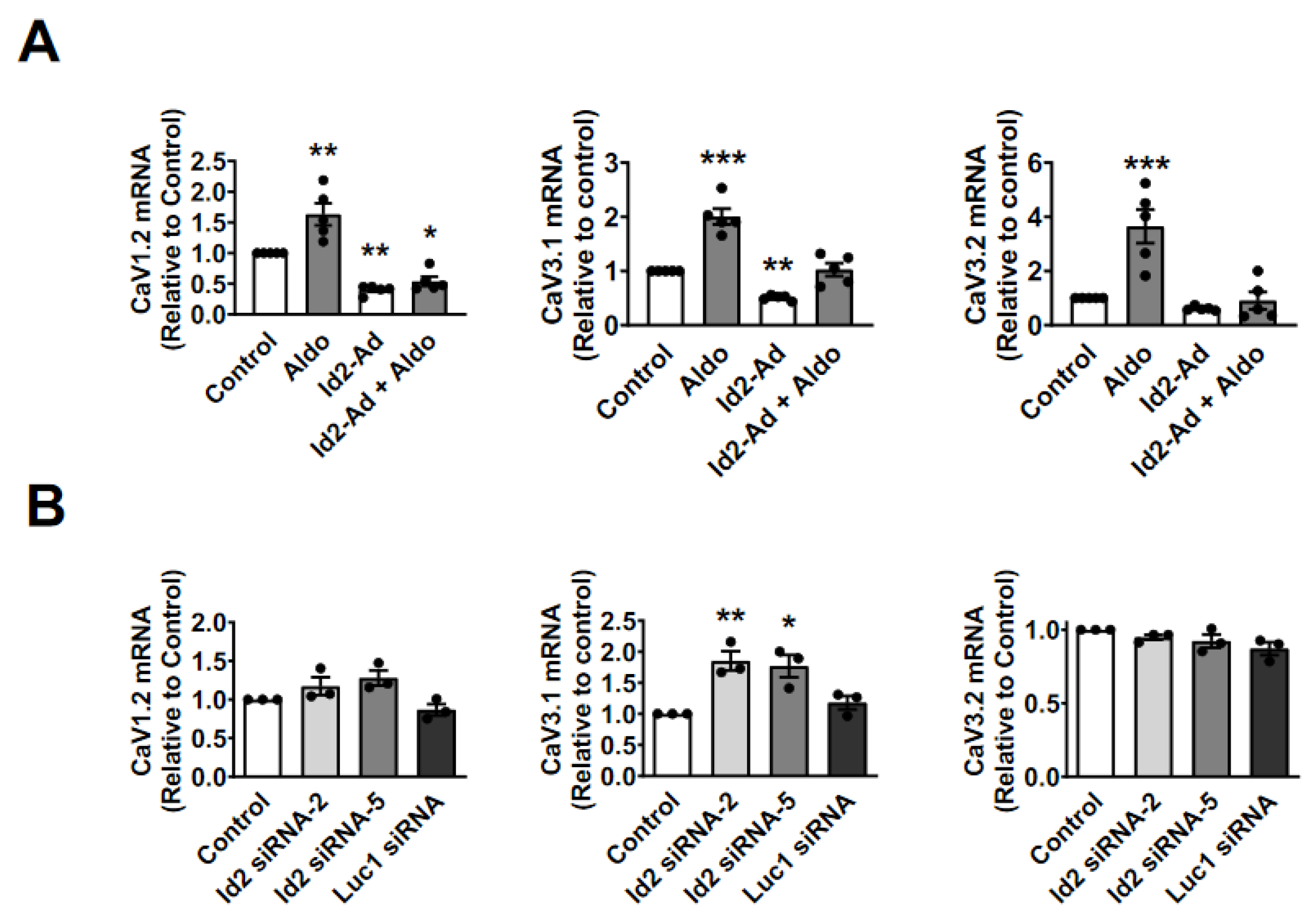 Ijms 22 03561 g003 Ijms 22 03561 g003