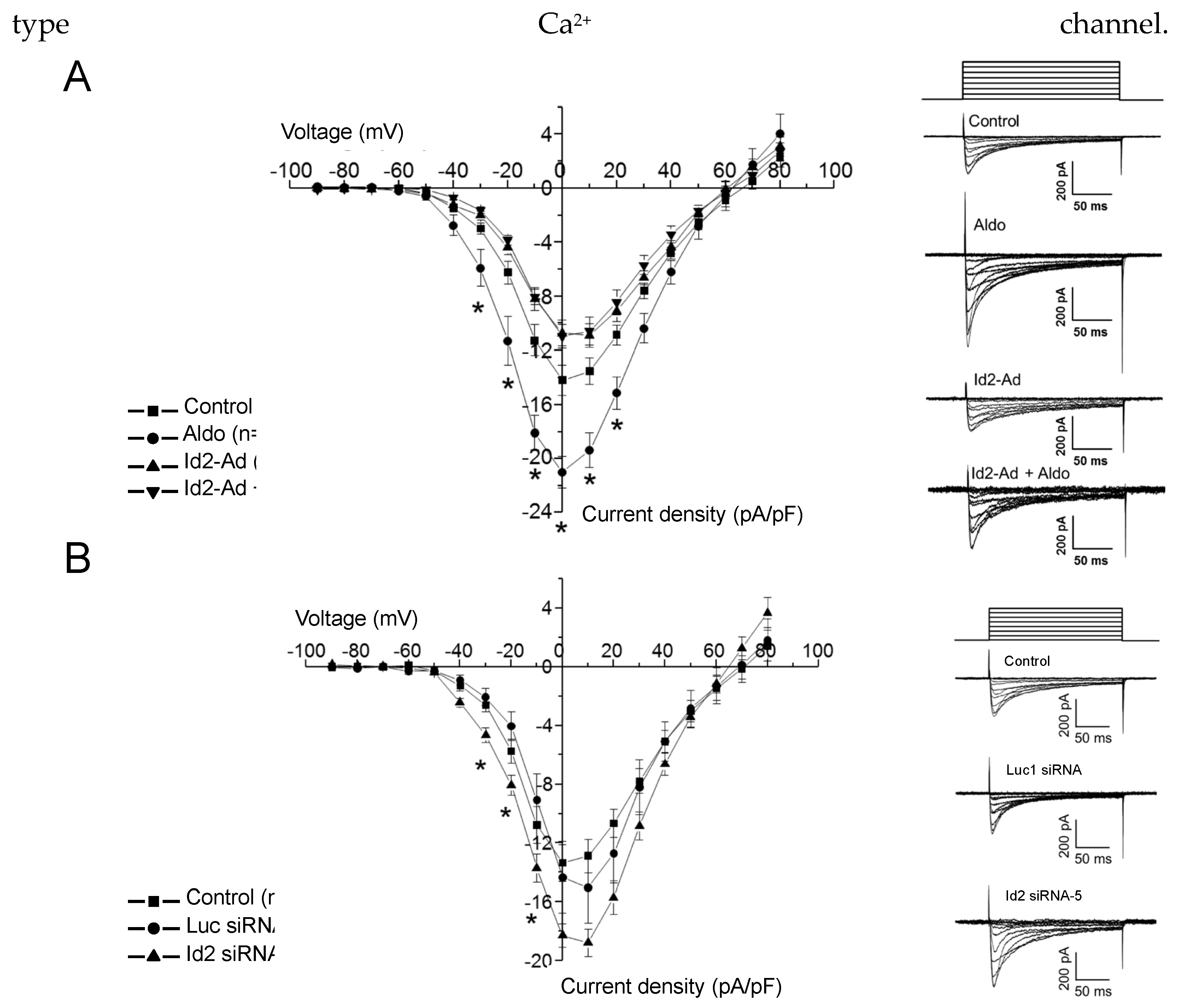Ijms 22 03561 g004 Ijms 22 03561 g004