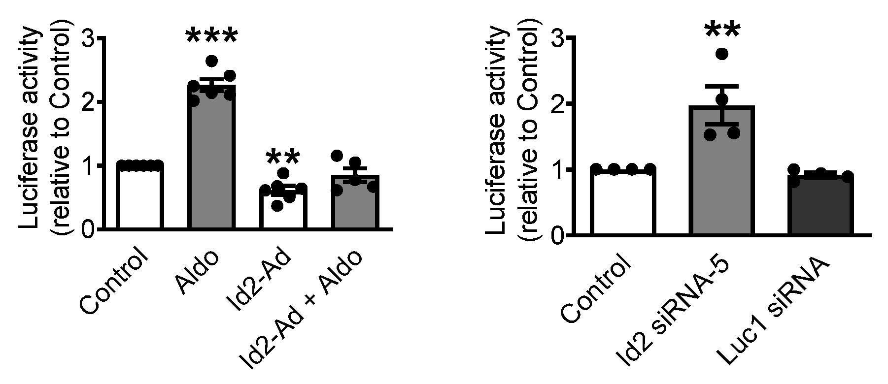 Ijms 22 03561 g005 Ijms 22 03561 g005