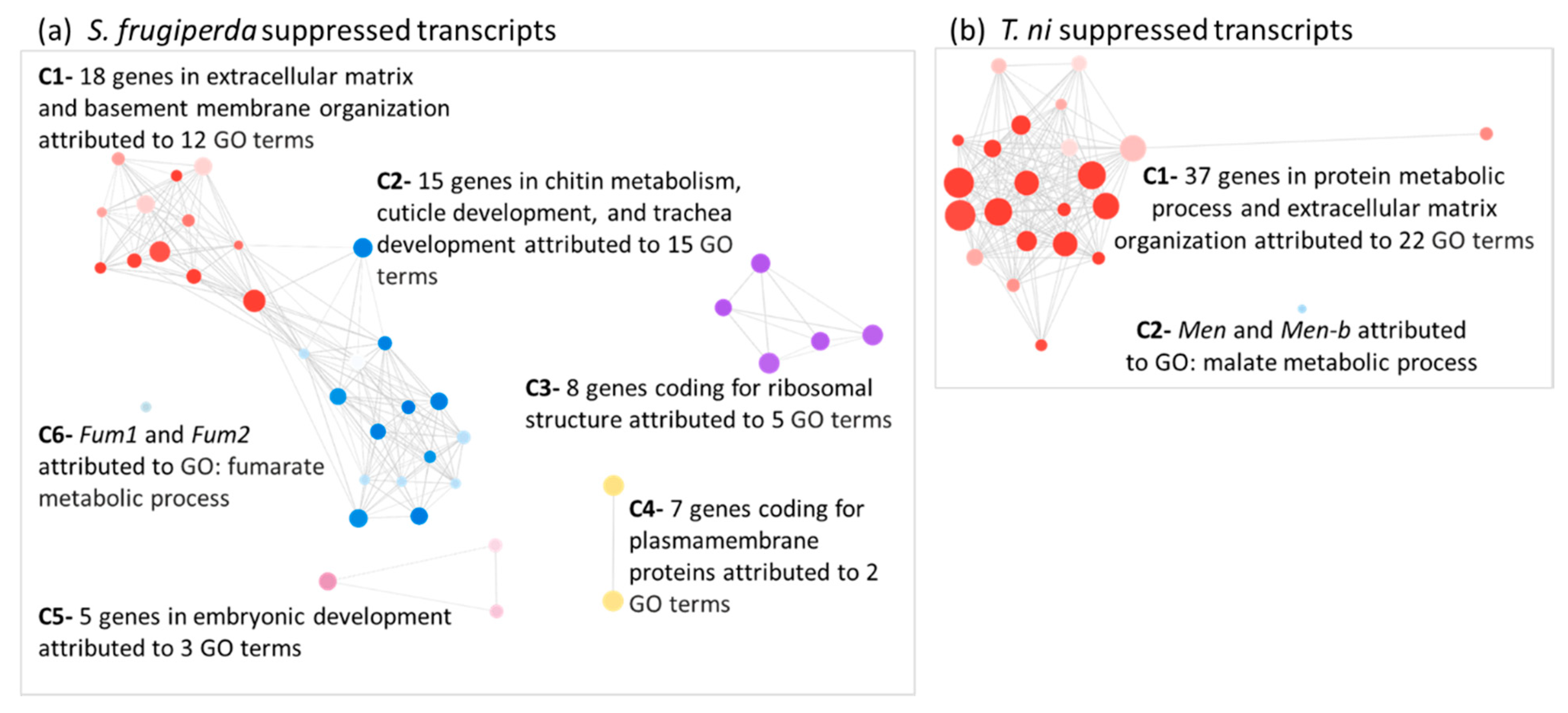 Ijms 22 03568 g003 Ijms 22 03568 g003