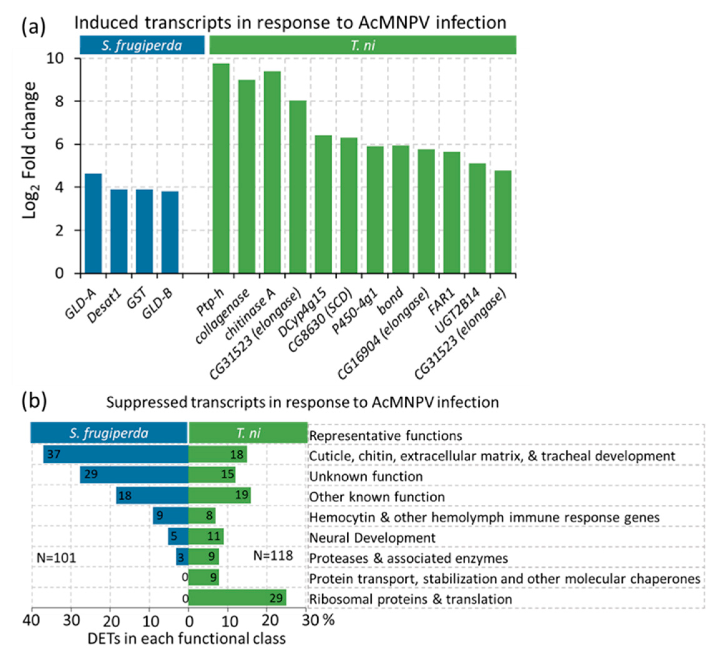 Ijms 22 03568 g004 Ijms 22 03568 g004
