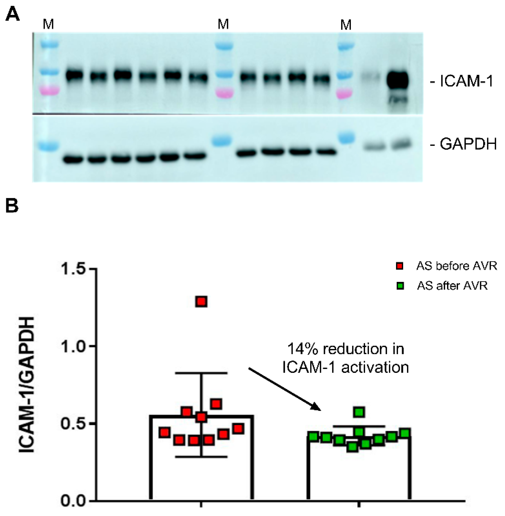 Ijms 22 03569 g006 Ijms 22 03569 g006