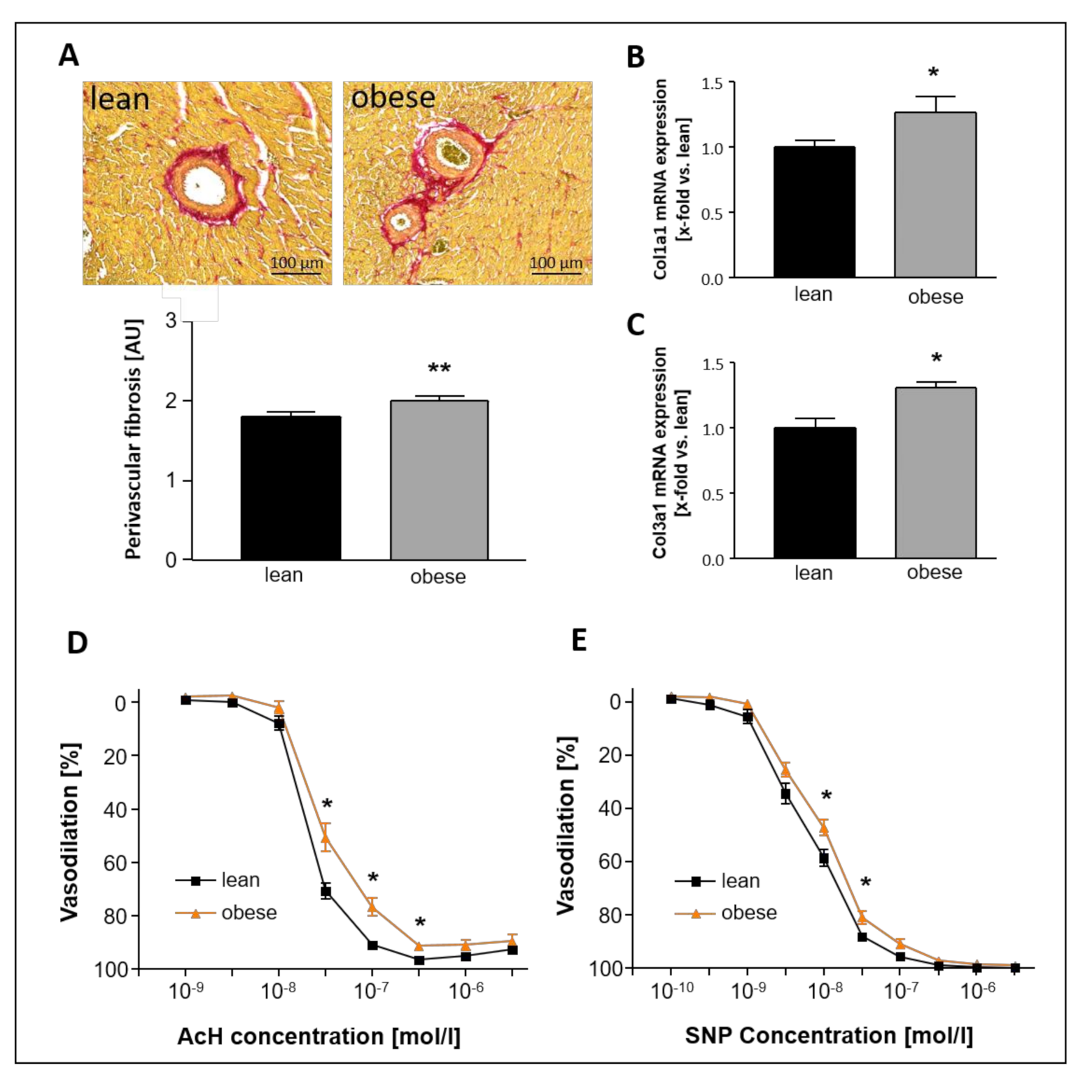 Ijms 22 03570 g001 Ijms 22 03570 g001