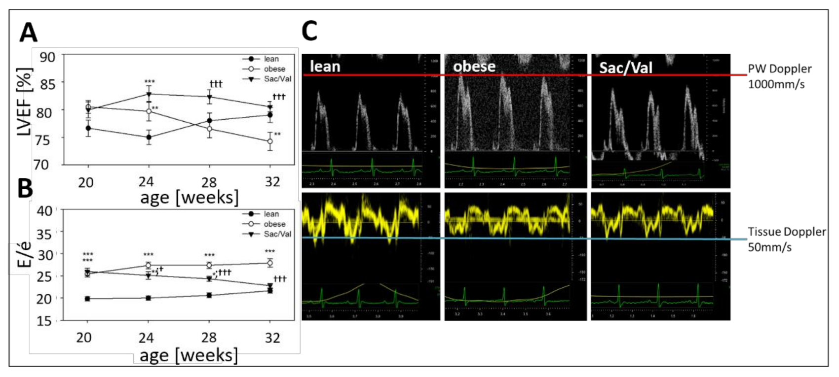 Ijms 22 03570 g003 Ijms 22 03570 g003