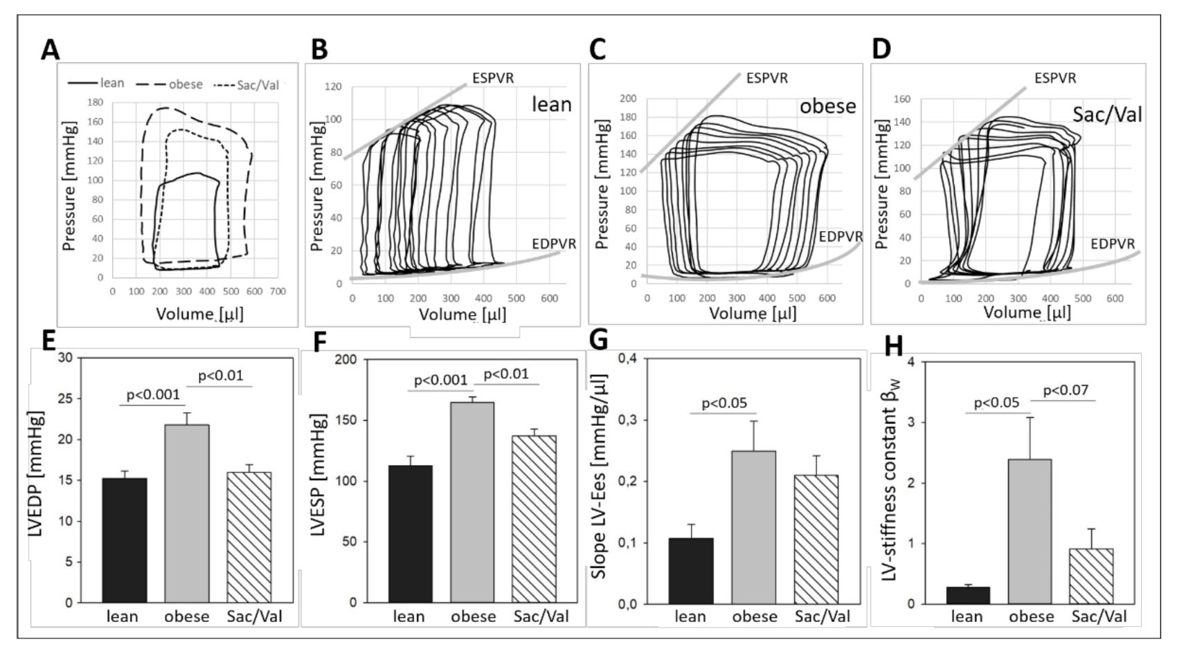 Ijms 22 03570 g004 Ijms 22 03570 g004