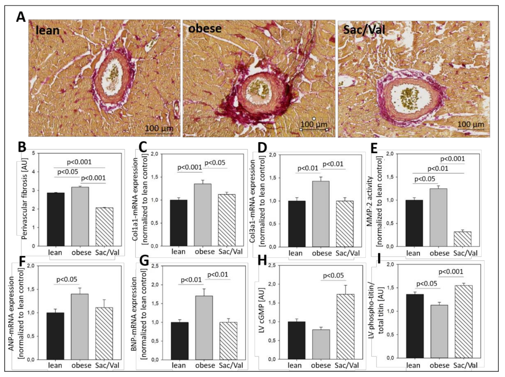 Ijms 22 03570 g005 Ijms 22 03570 g005