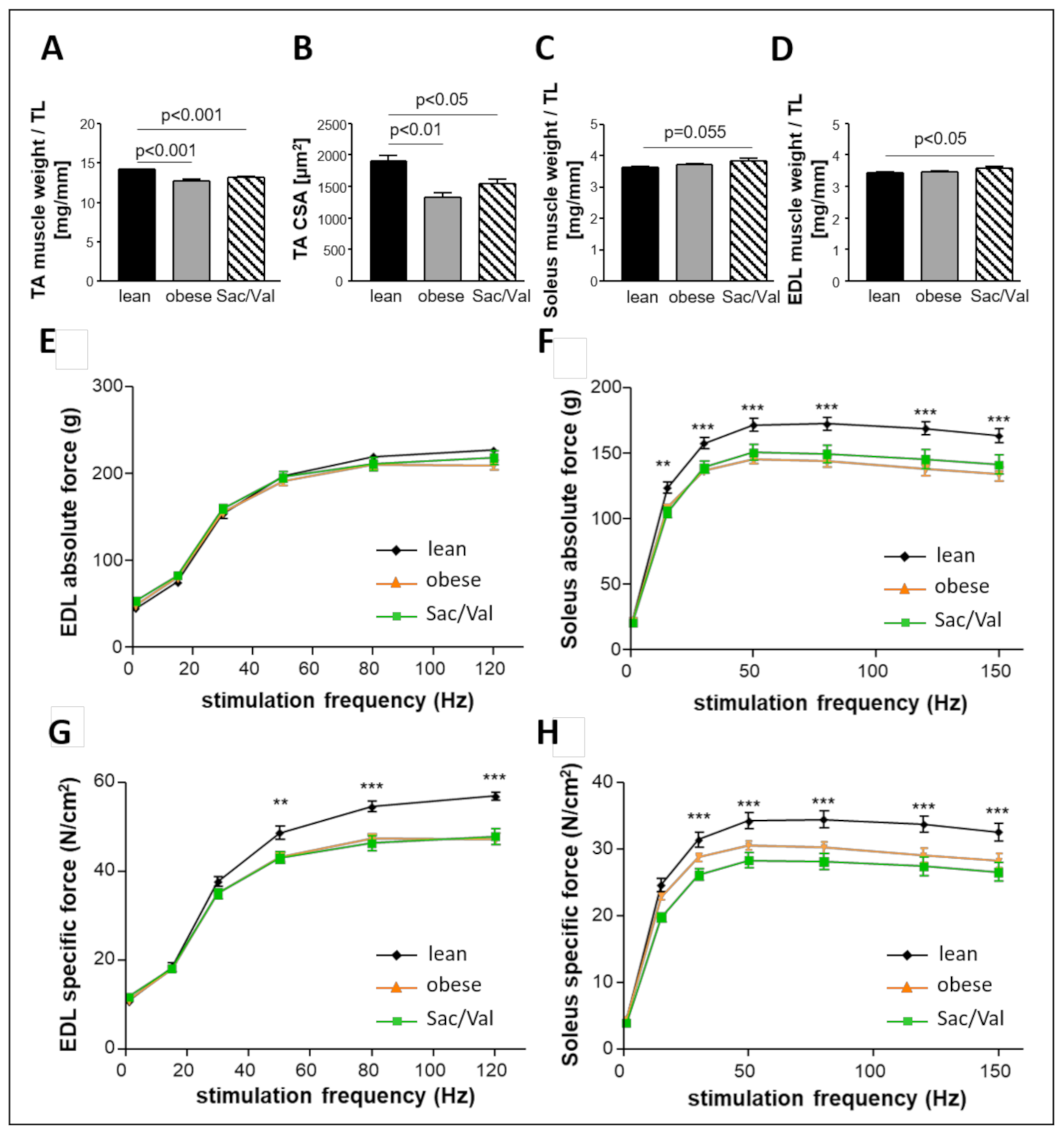 Ijms 22 03570 g008 Ijms 22 03570 g008