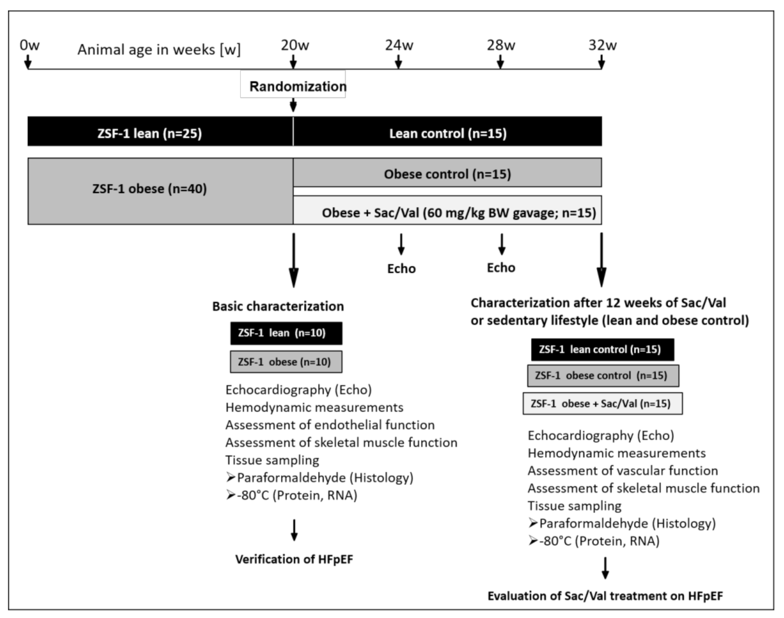 Ijms 22 03570 g009 Ijms 22 03570 g009