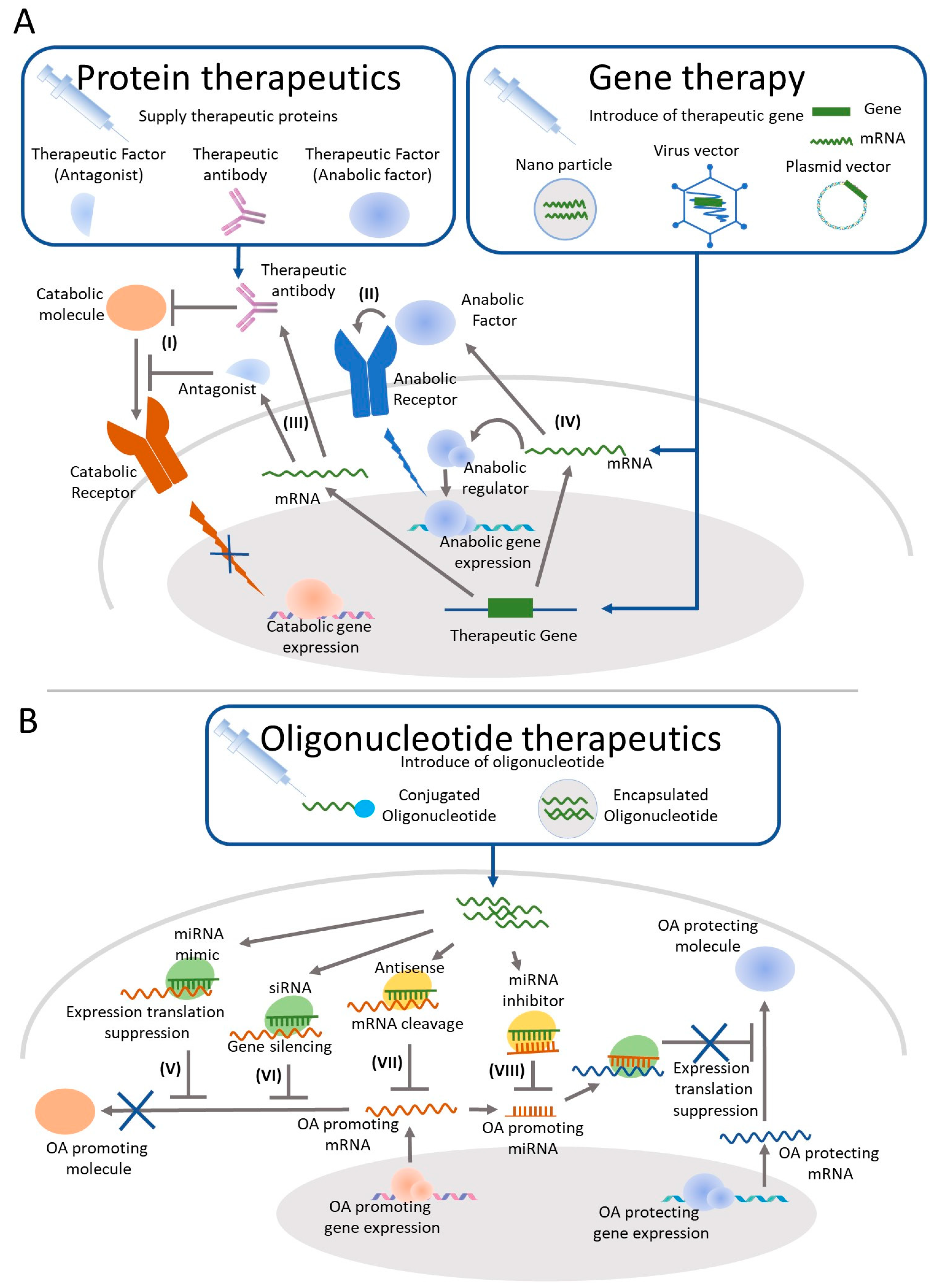 Ijms 22 03594 g001 Ijms 22 03594 g001