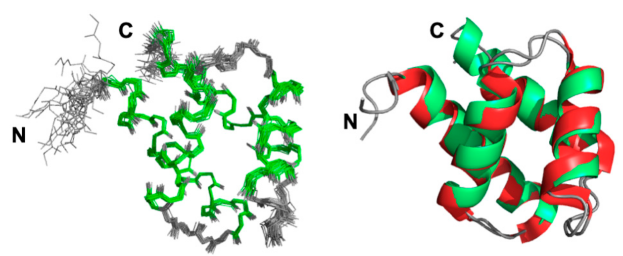 Ijms 22 03597 g002 Ijms 22 03597 g002