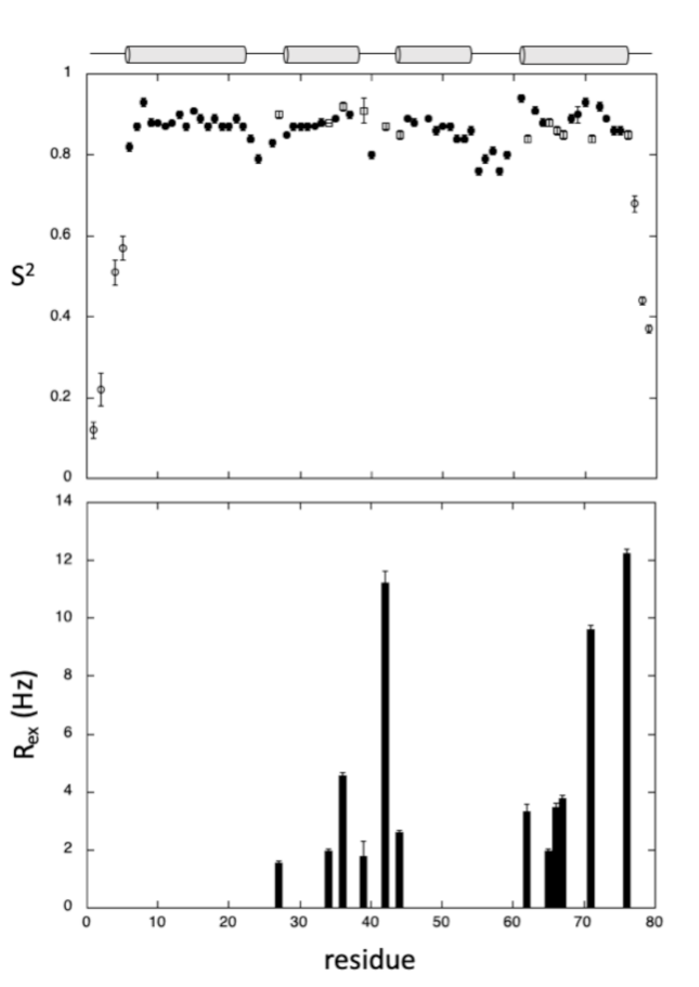 Ijms 22 03597 g003 Ijms 22 03597 g003