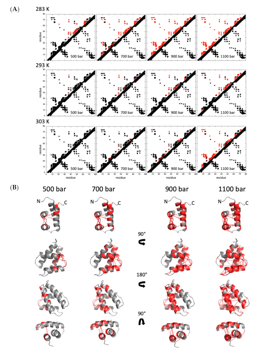 Ijms 22 03597 g006 Ijms 22 03597 g006