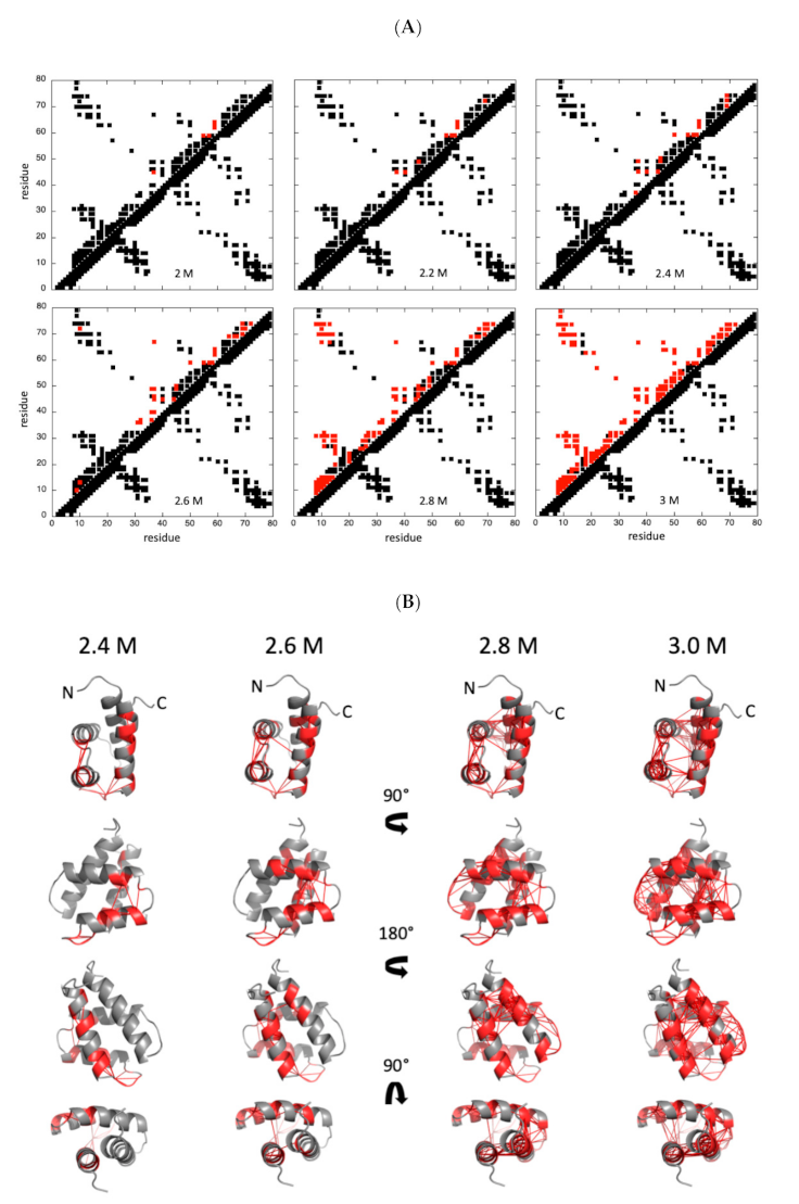 Ijms 22 03597 g009 Ijms 22 03597 g009