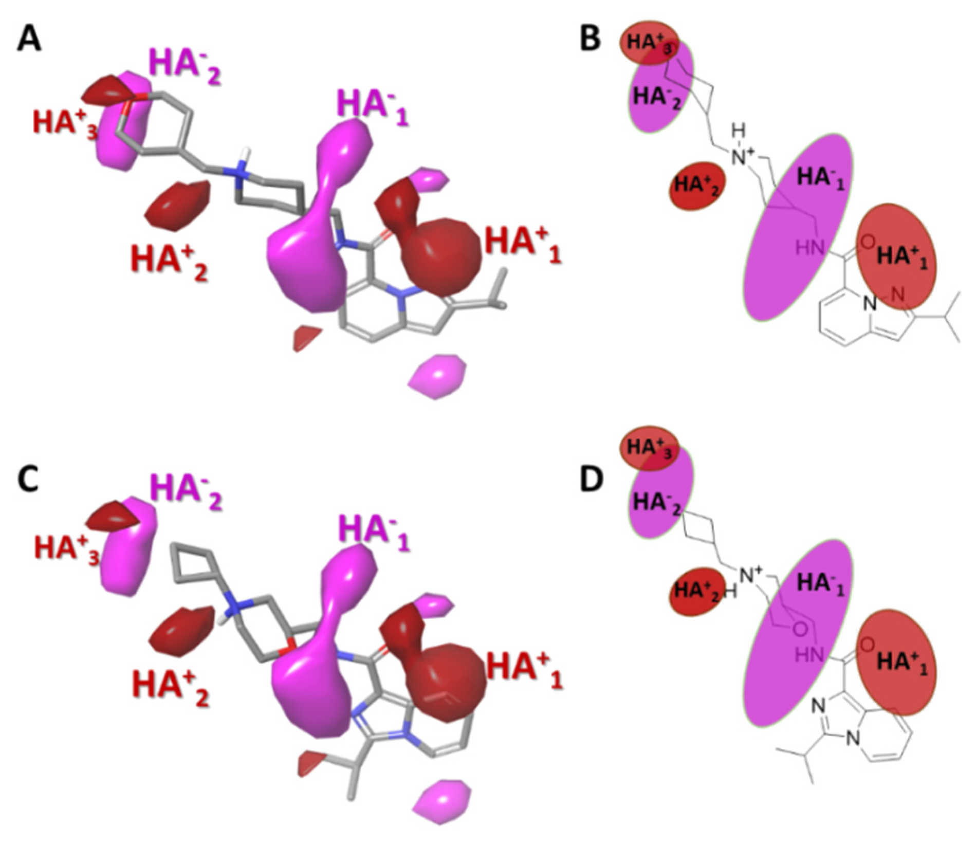 Ijms 22 03602 g006 Ijms 22 03602 g006