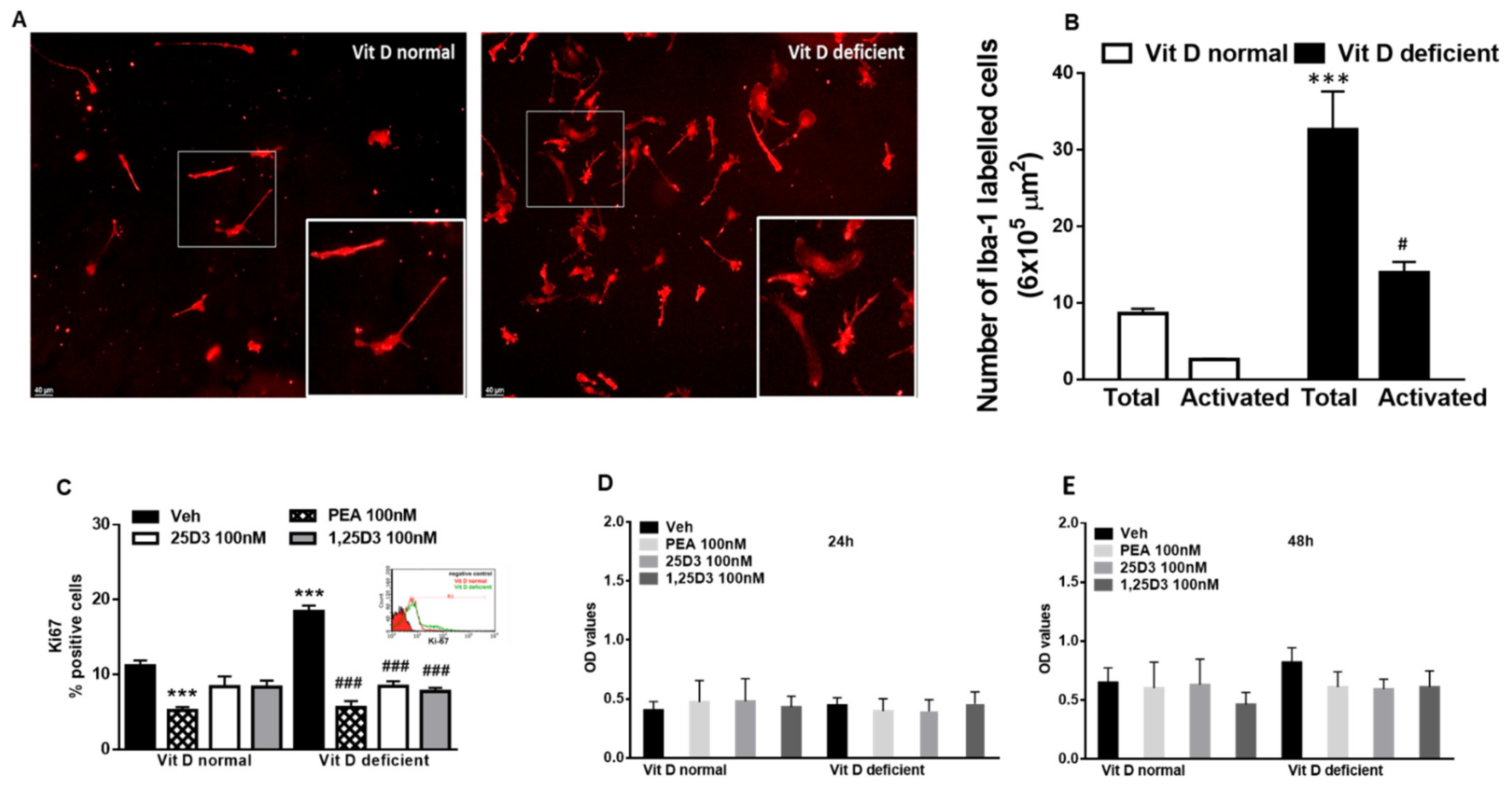 Ijms 22 03604 g001 Ijms 22 03604 g001