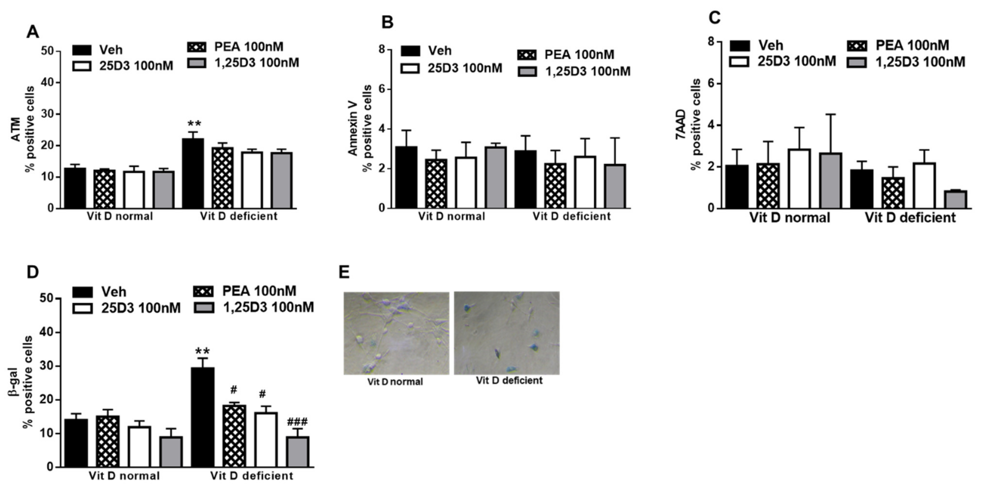 Ijms 22 03604 g003 Ijms 22 03604 g003