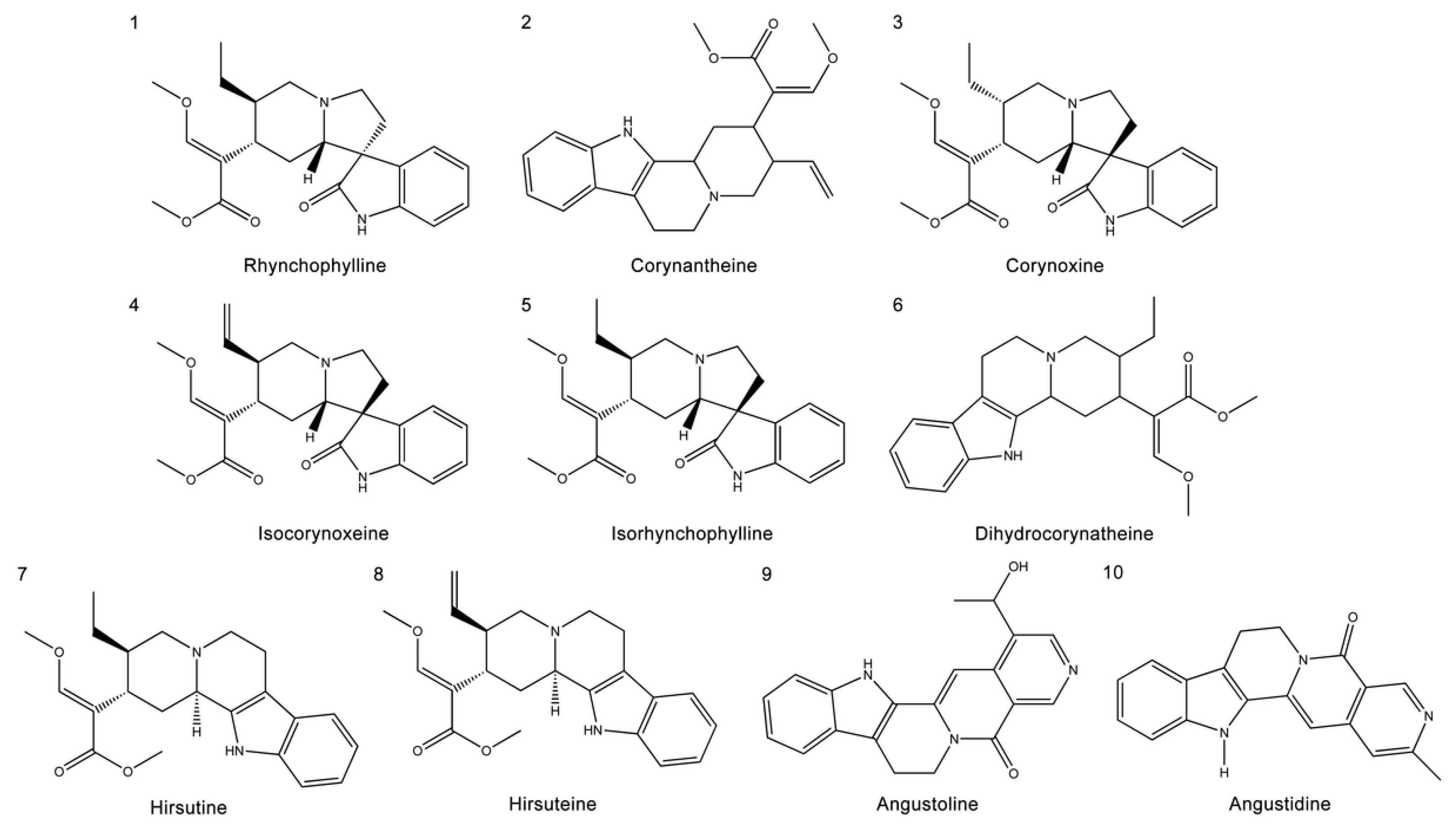 Ijms 22 03612 g002 Ijms 22 03612 g002