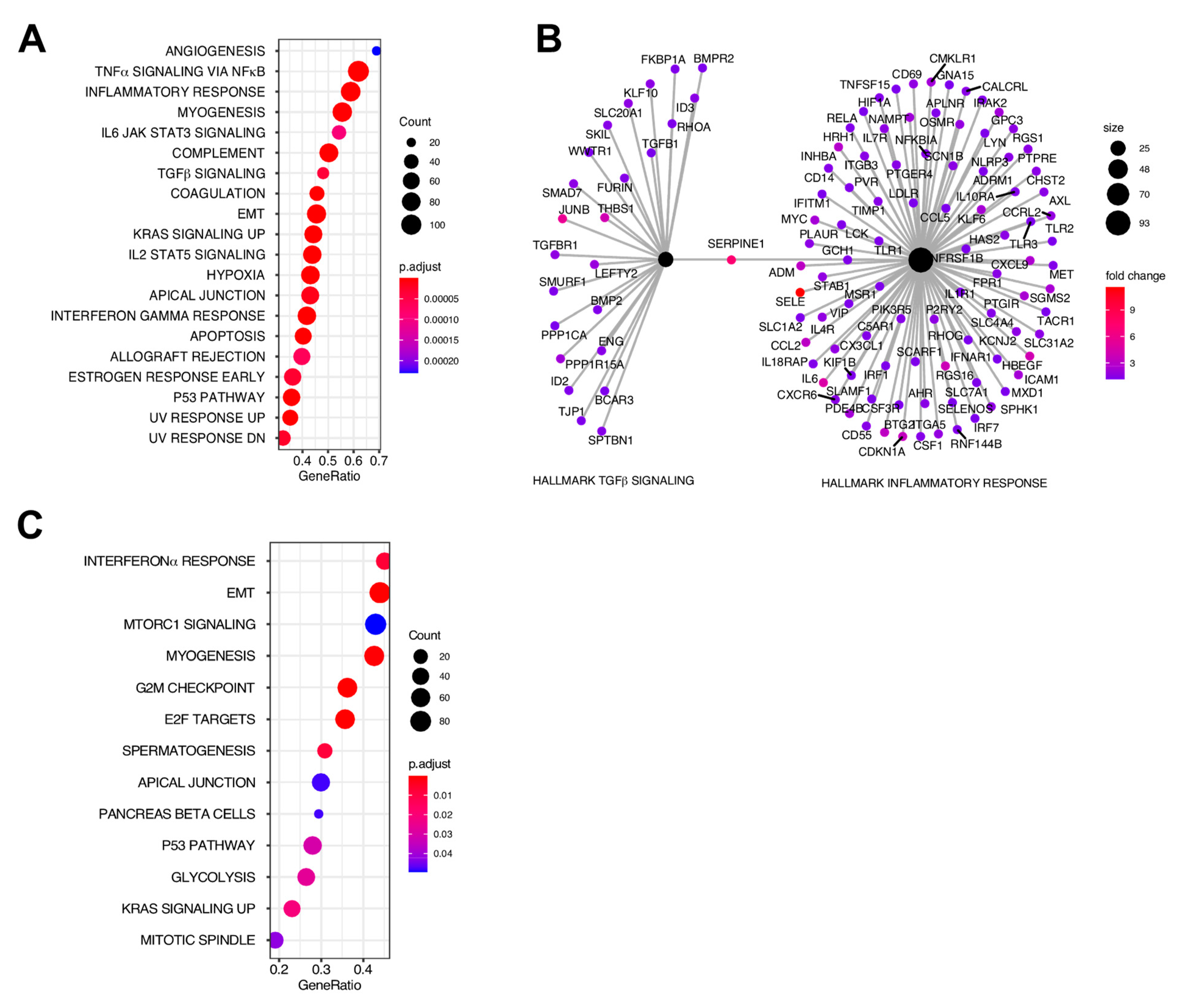 Ijms 22 03618 g002 Ijms 22 03618 g002