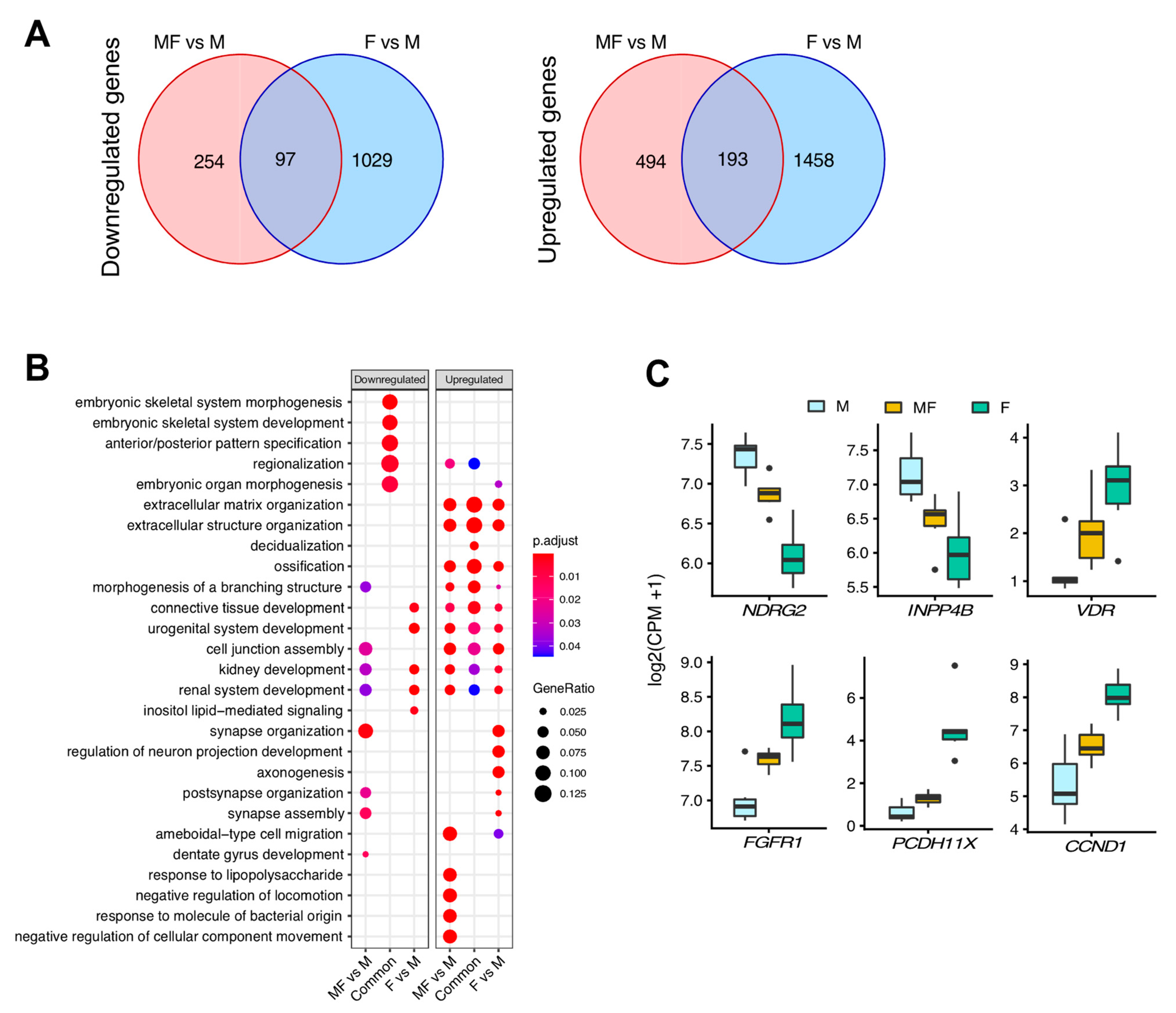 Ijms 22 03618 g003 Ijms 22 03618 g003