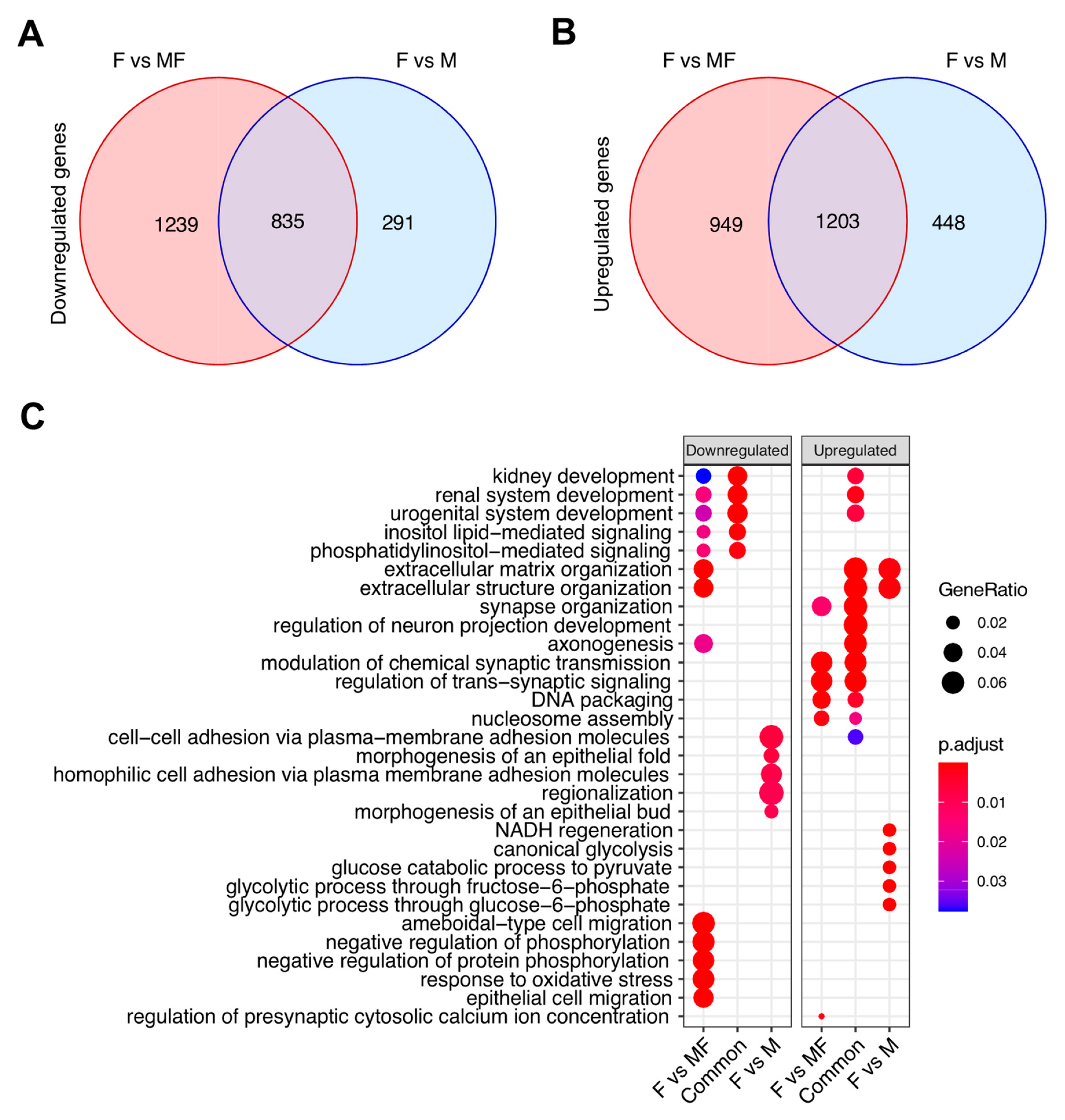 Ijms 22 03618 g006 Ijms 22 03618 g006