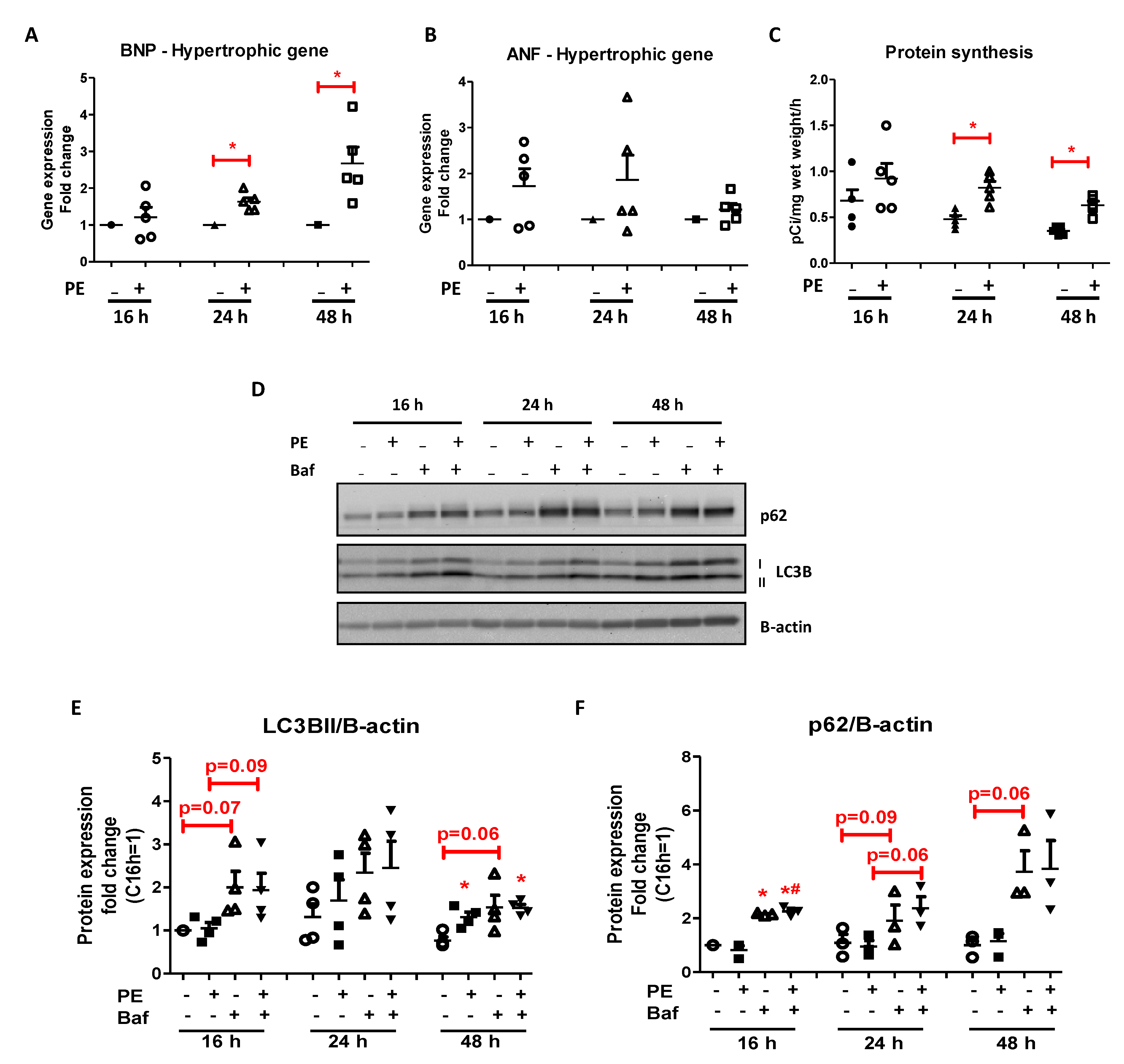 Ijms 22 03620 g001 Ijms 22 03620 g001