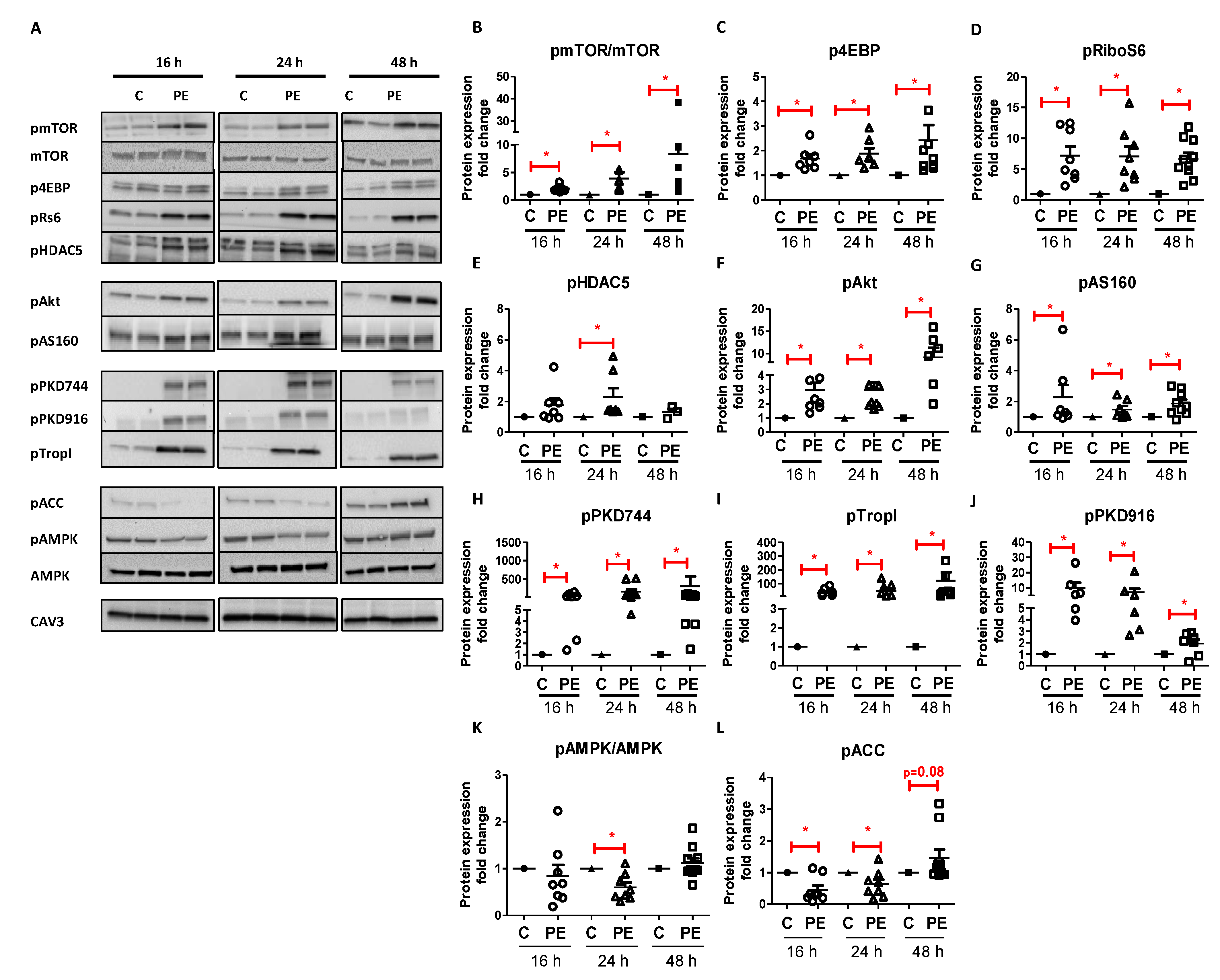 Ijms 22 03620 g002 Ijms 22 03620 g002