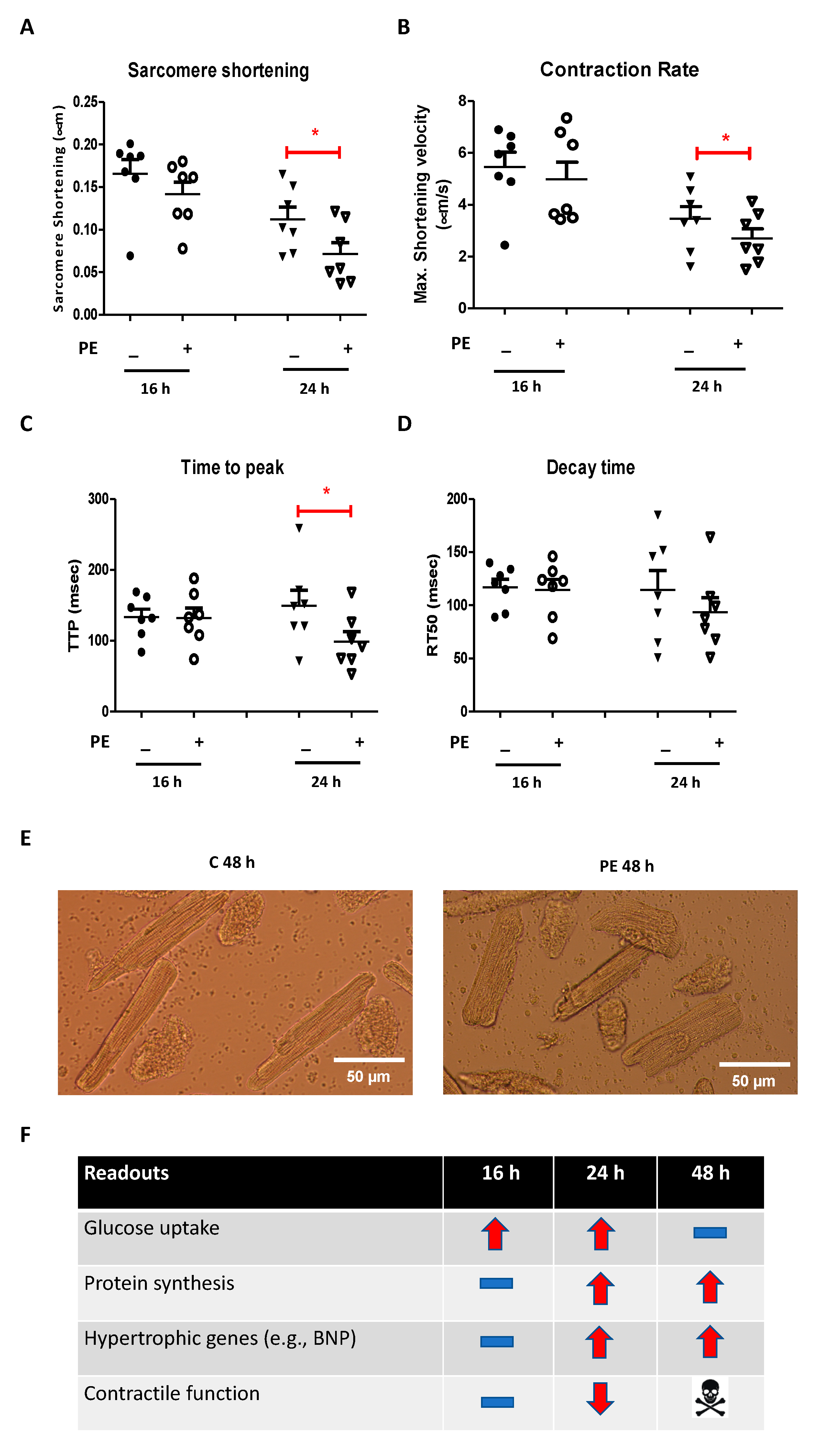 Ijms 22 03620 g004 Ijms 22 03620 g004
