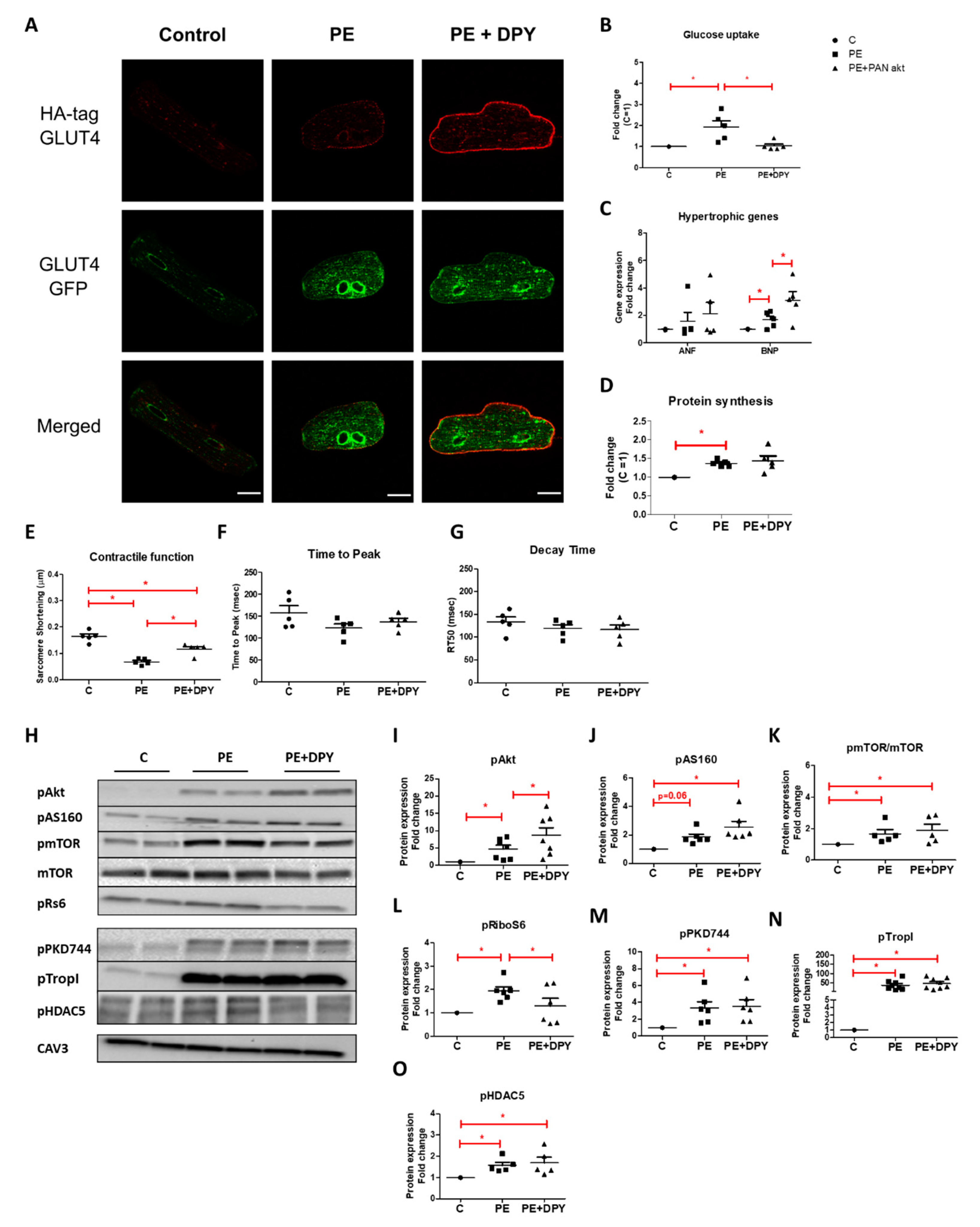 Ijms 22 03620 g006 Ijms 22 03620 g006
