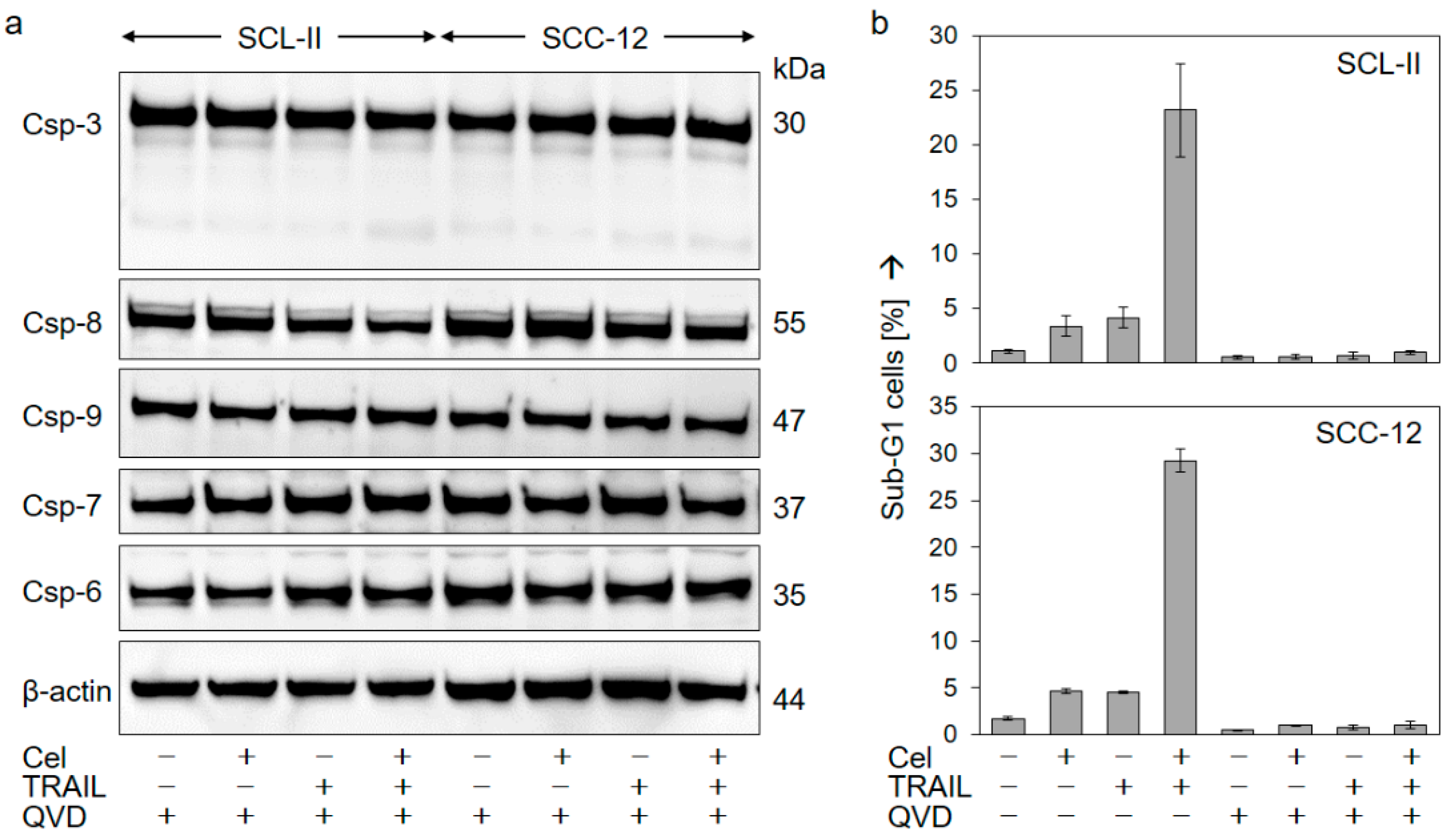 Ijms 22 03622 g006 Ijms 22 03622 g006