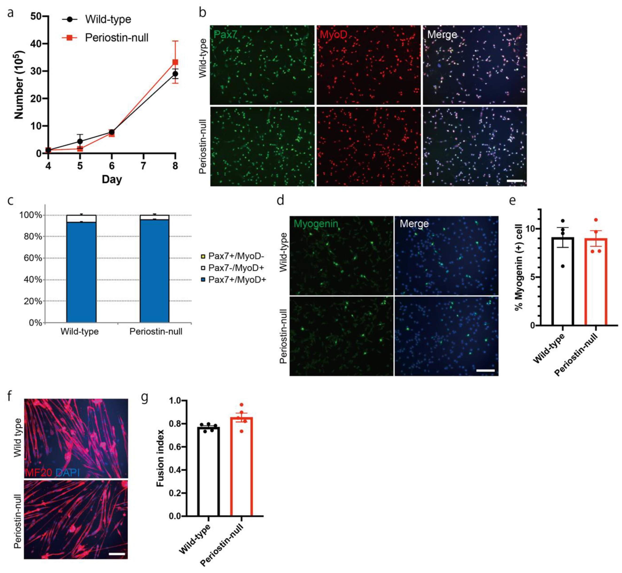 Ijms 22 03627 g006 Ijms 22 03627 g006