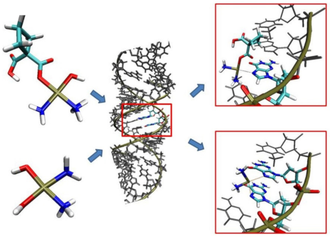 Ijms 22 03634 g001 Ijms 22 03634 g001