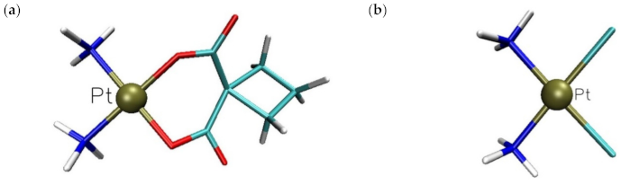 Ijms 22 03634 g002 Ijms 22 03634 g002