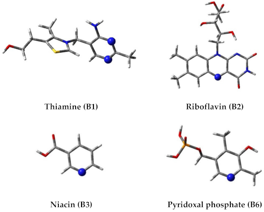 Ijms 22 03634 g005 Ijms 22 03634 g005