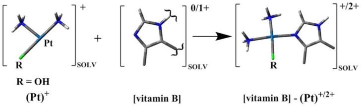 Ijms 22 03634 g006 Ijms 22 03634 g006