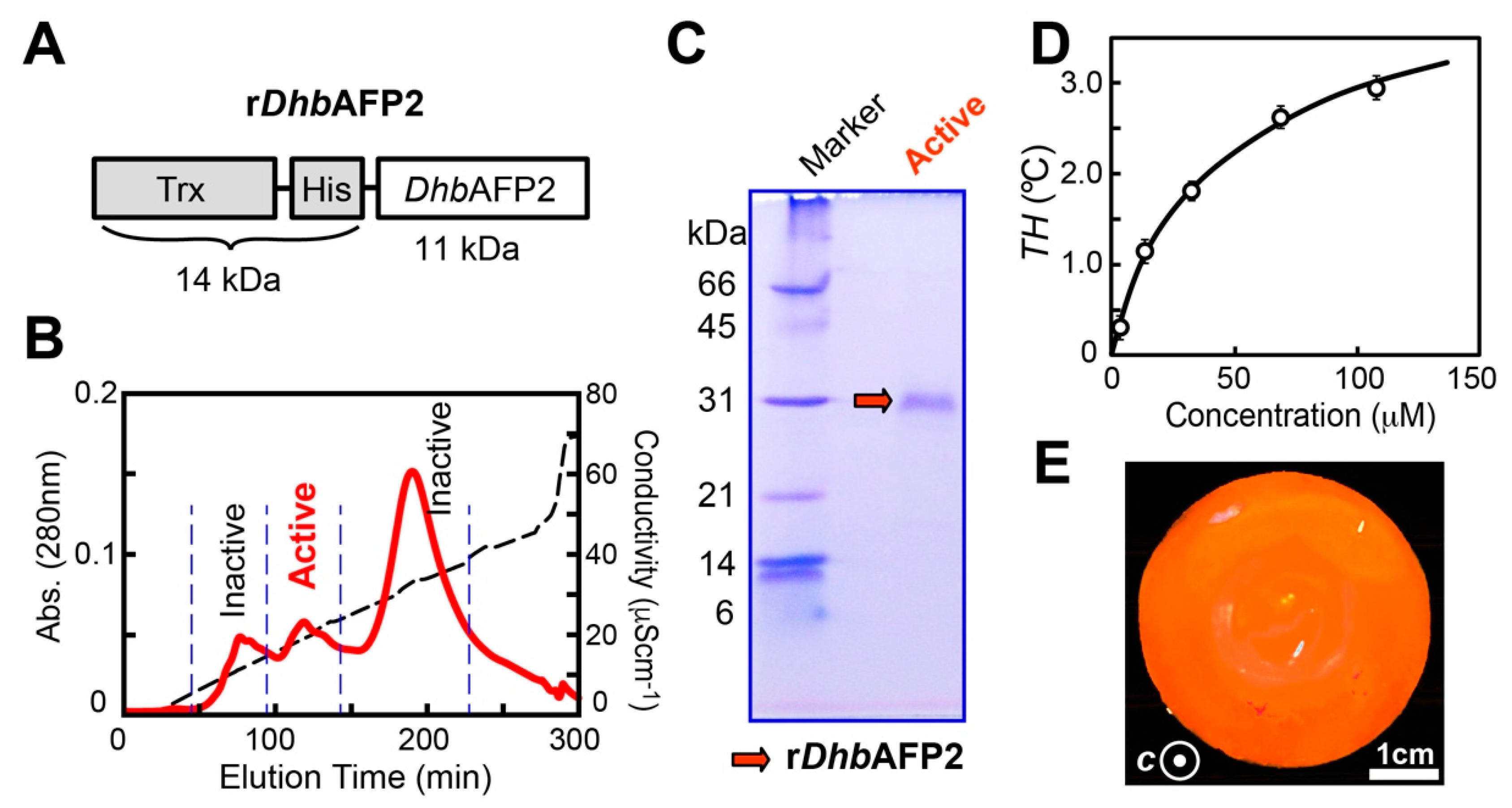 Ijms 22 03637 g003 Ijms 22 03637 g003